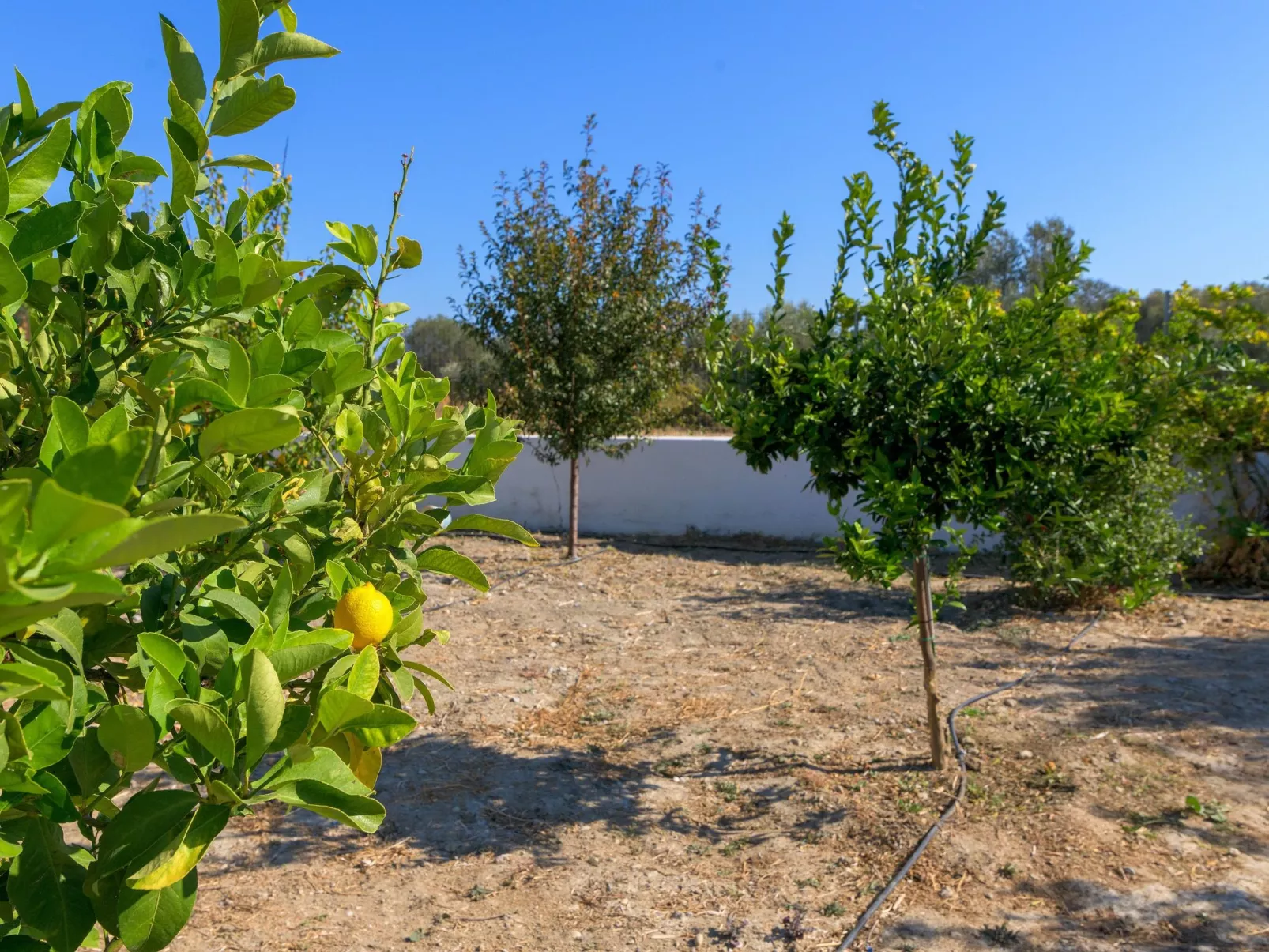"Villa Galini"-Buiten