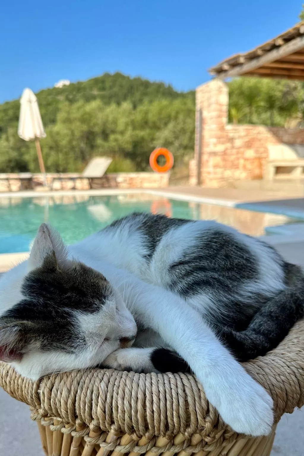 Prächtige Villa in spektakulärer Lage-Buiten