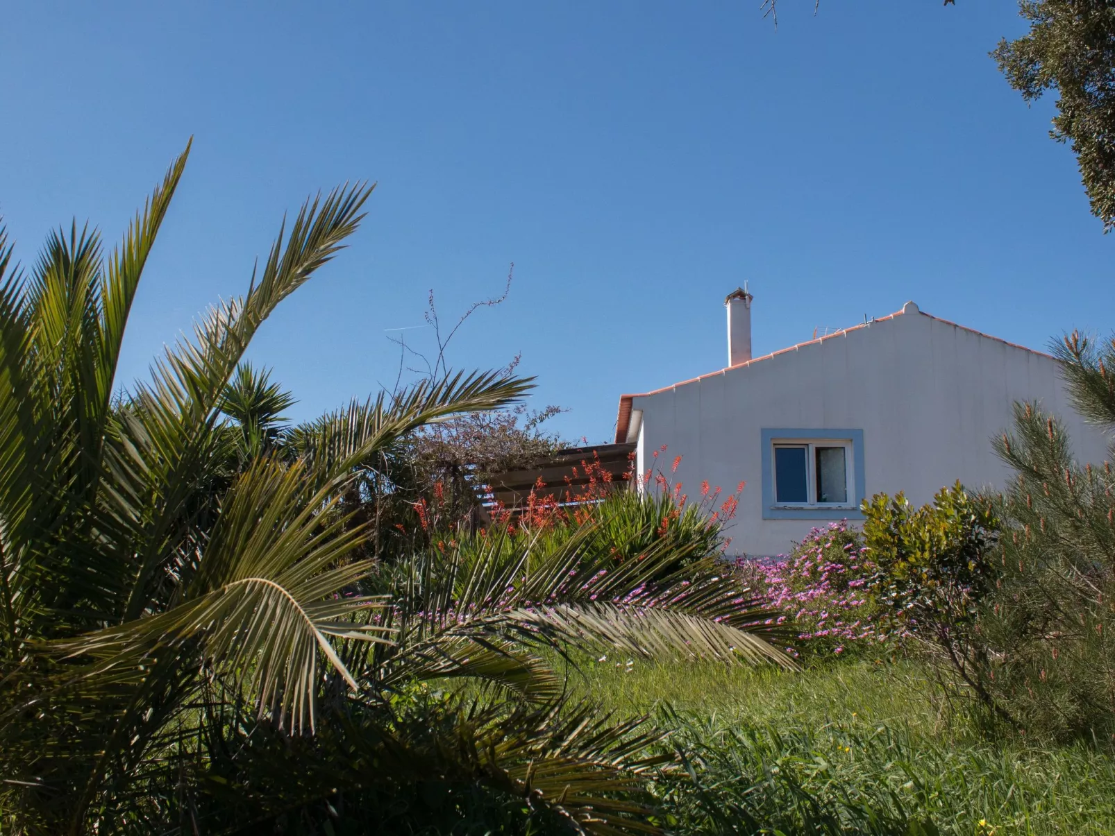Monte Horizonte Casa Passaro Öko und Natur-Buiten