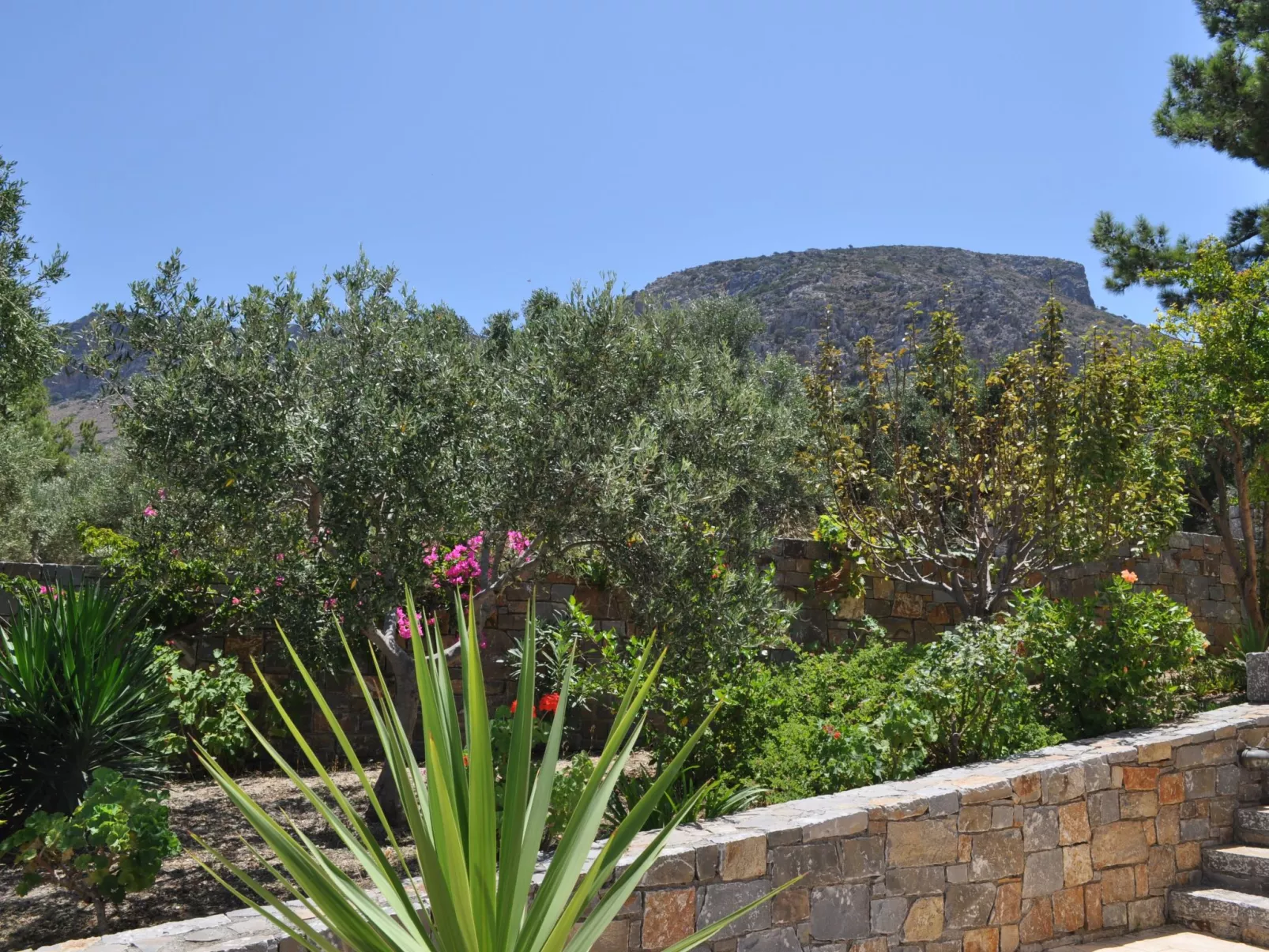 Nefeli Blue Villa in altem Olivenhain, Meerblick-Buiten