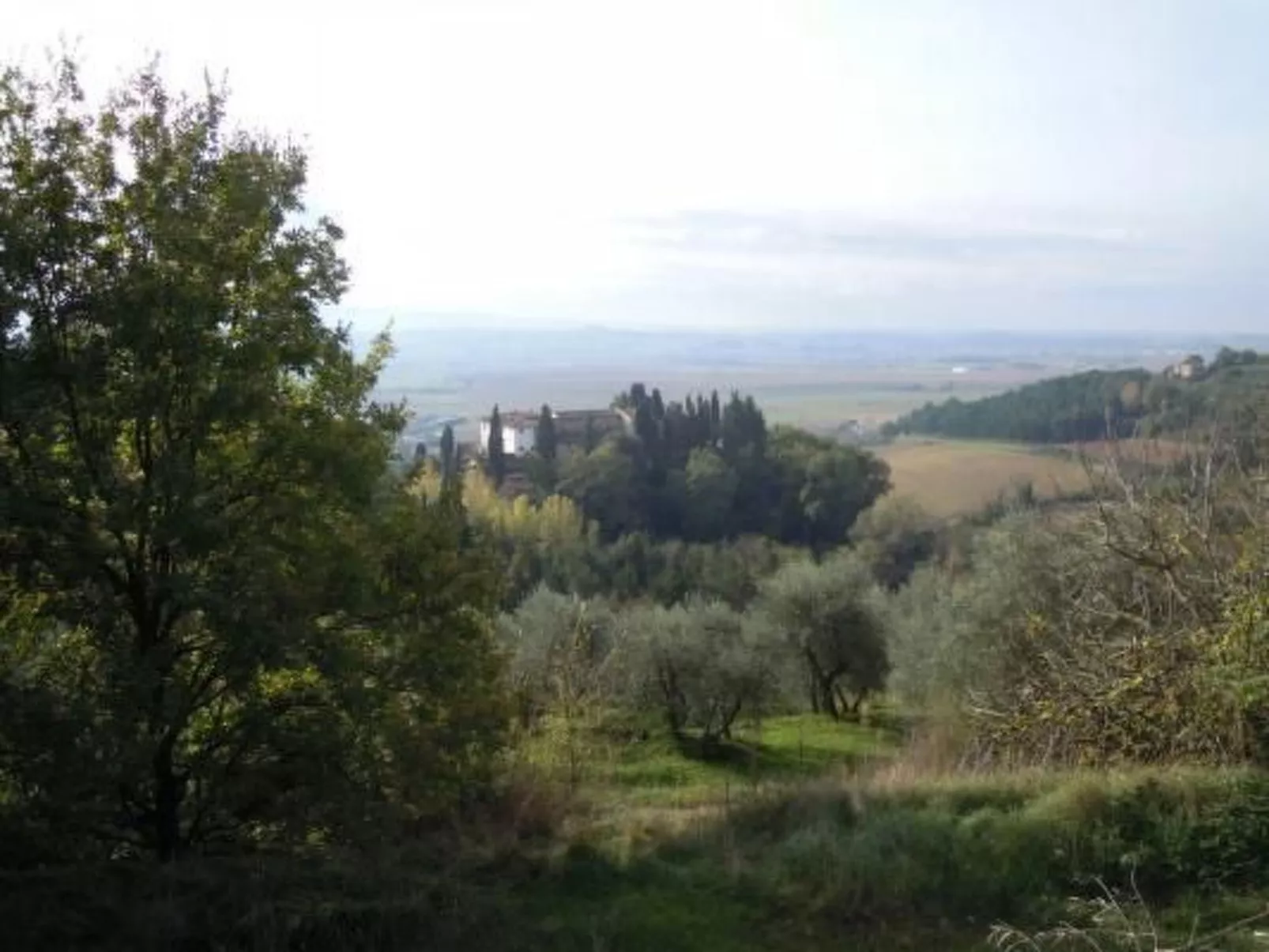 Appartement in Palaia mit Großem Garten-Buiten