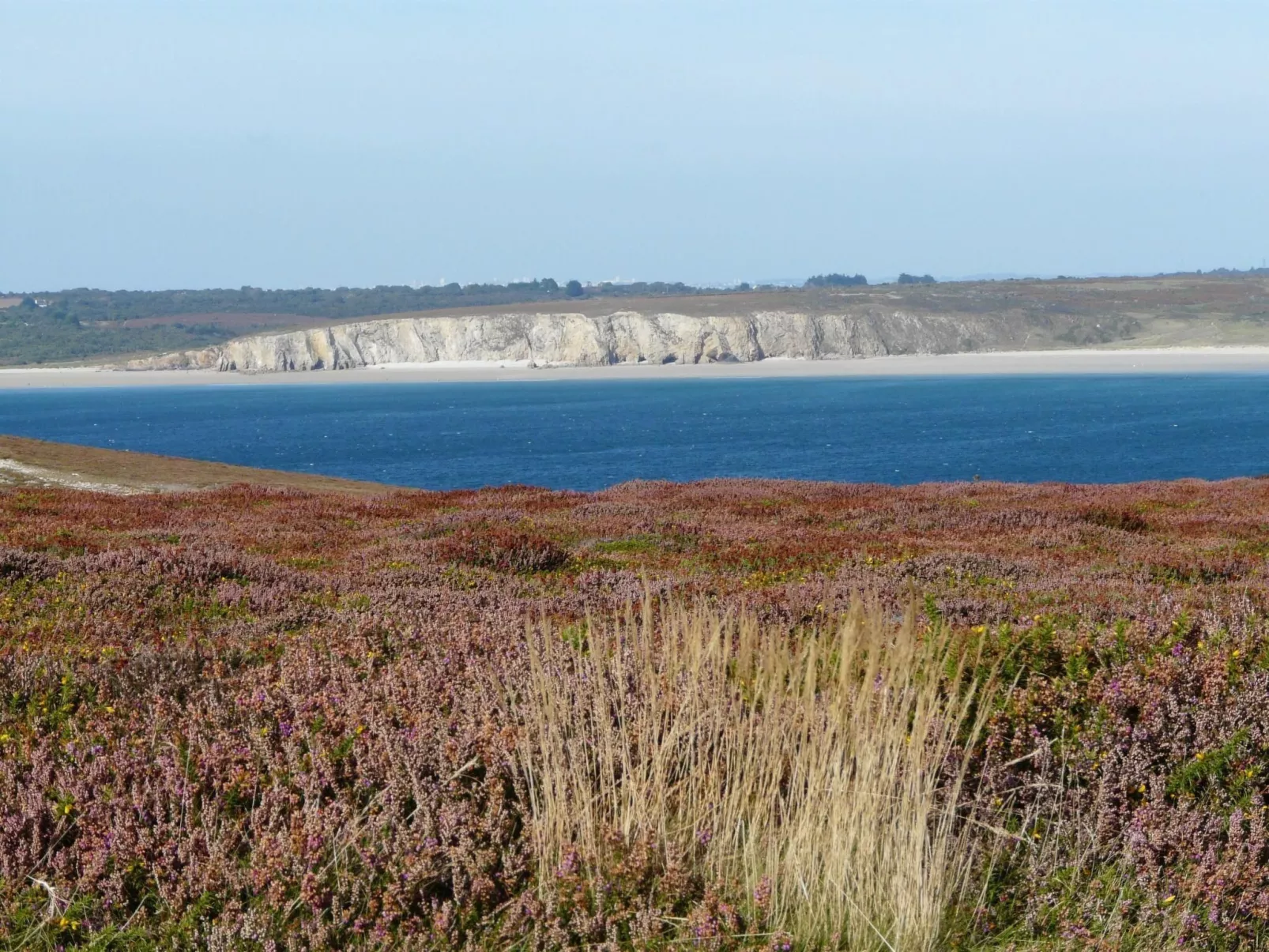 Mit Blick auf das Wasser-Buiten