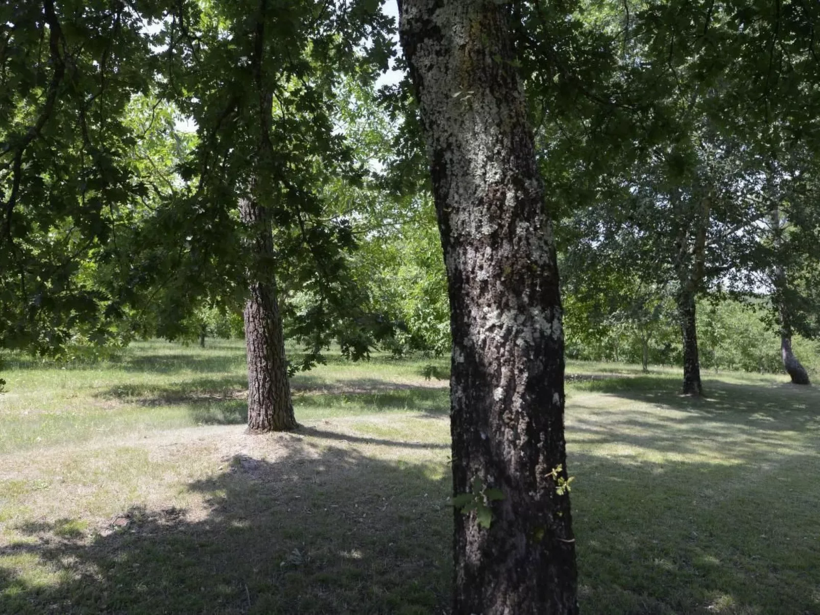 Villa DUXCAAR Beaum.-Buiten