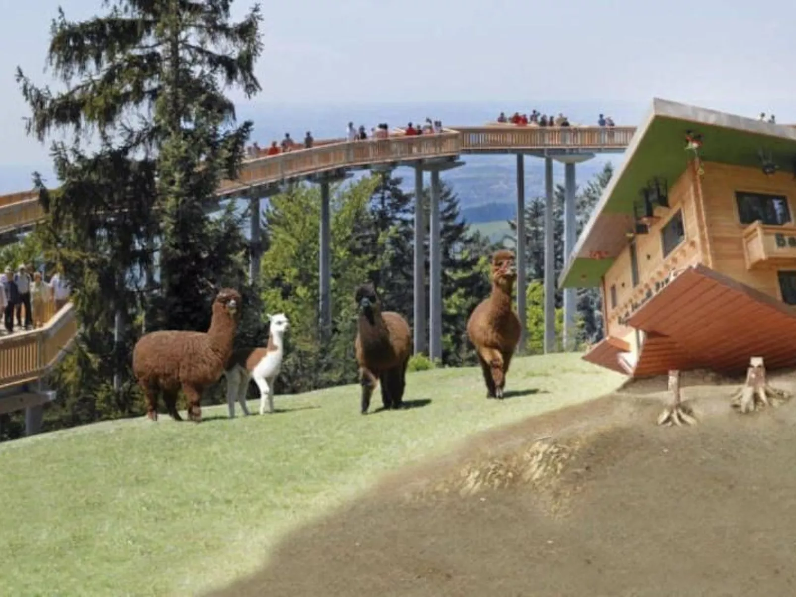 FeWo Steinbeisser-Image-tags.info