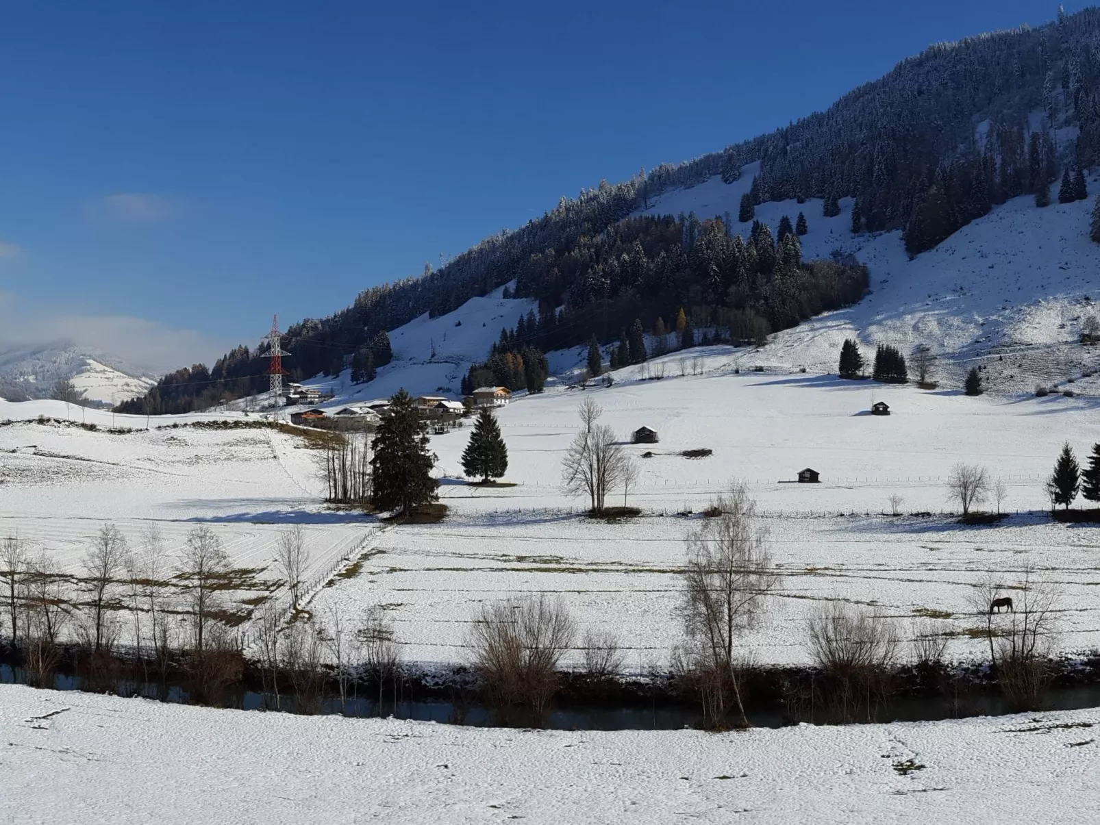 Geräumige Wohnung mit zwei Schlafzimmern und Balkon-Buiten