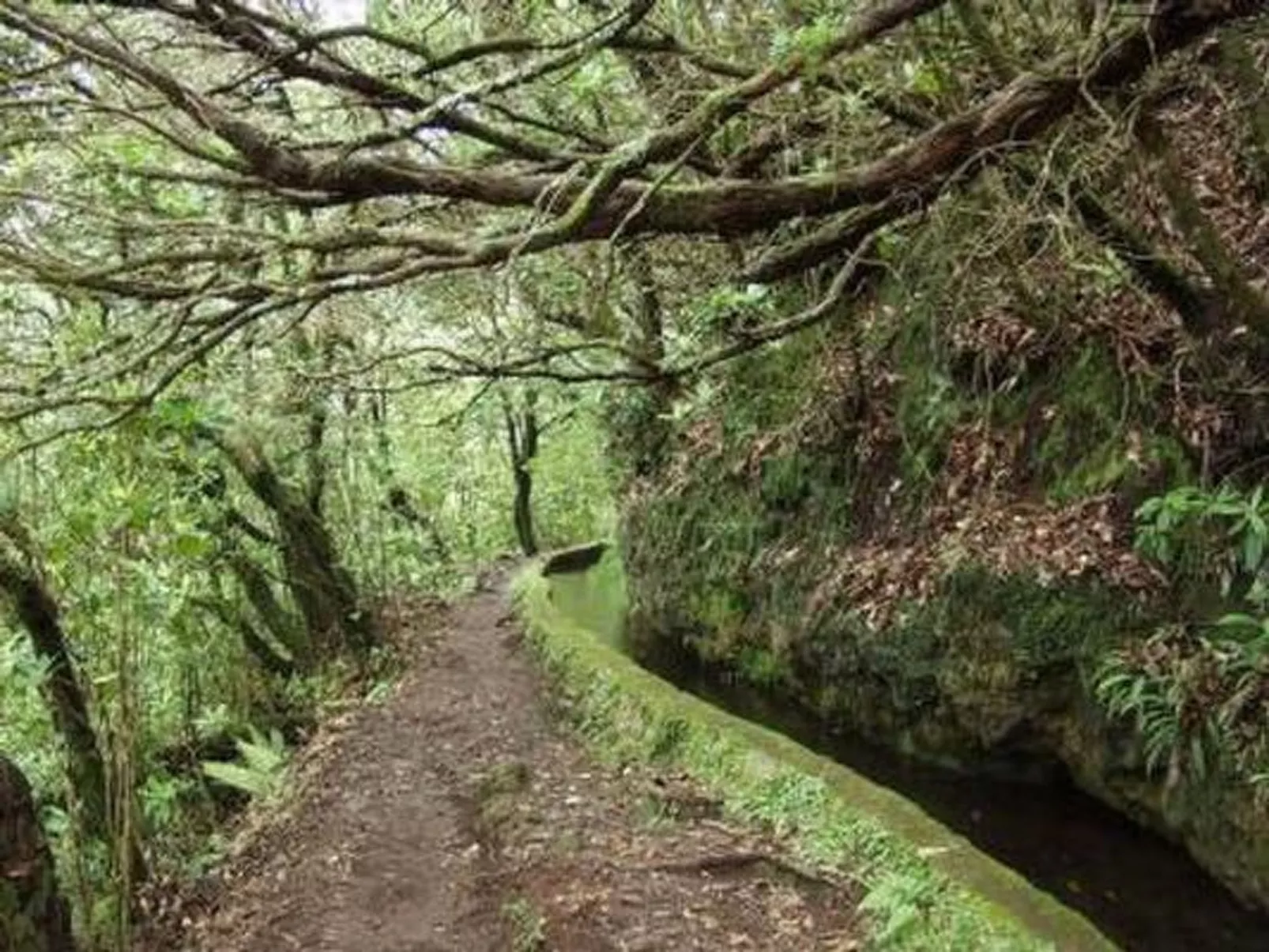 Klein-Norwegen-Image-tags.info