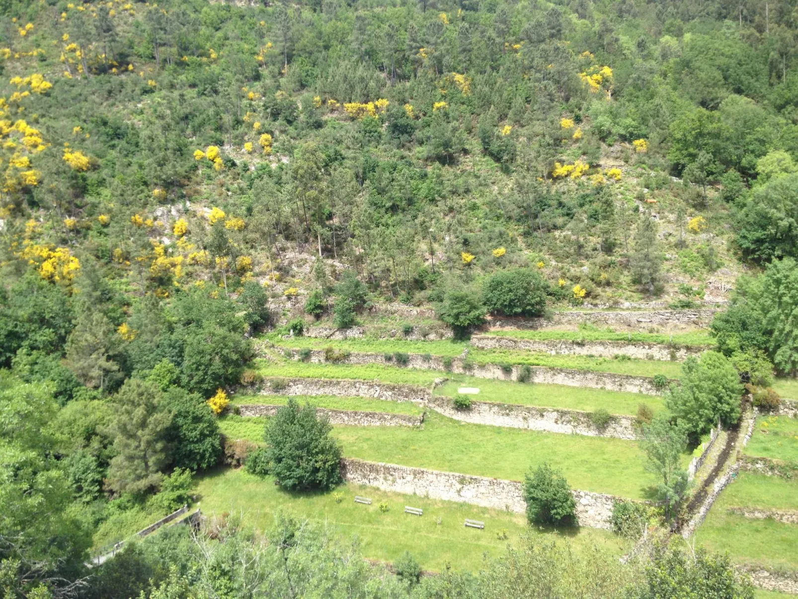 "Großmutters Häuschen" mit überdachter Terrasse-Buiten