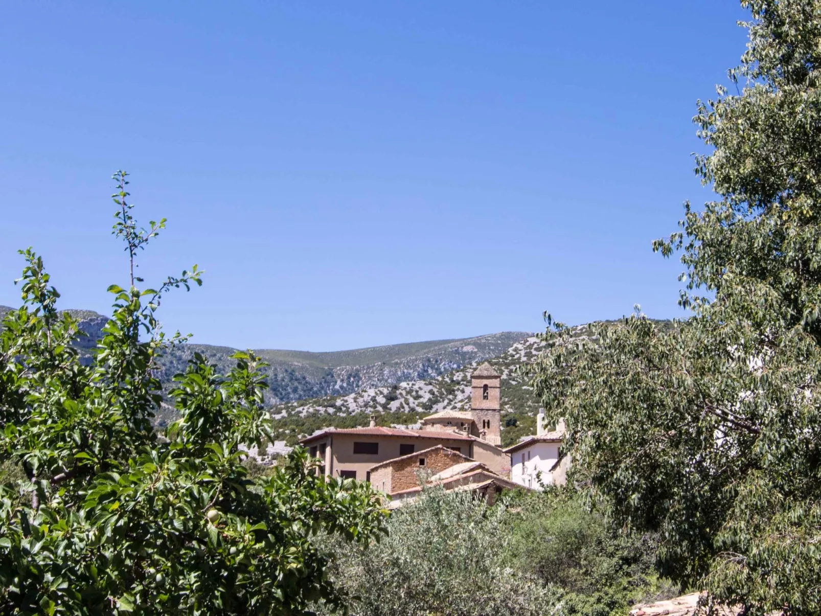 Javier Haus-Image-tags.info