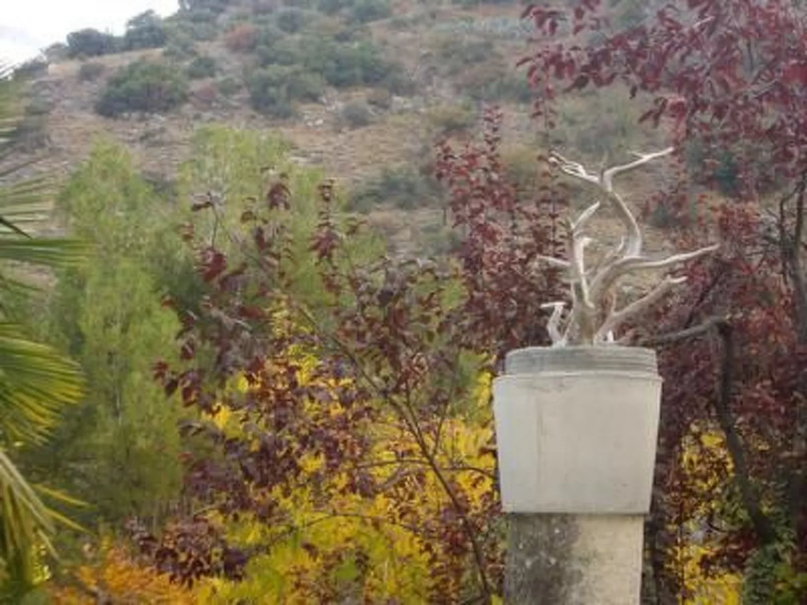 La Casita-Image-tags.info