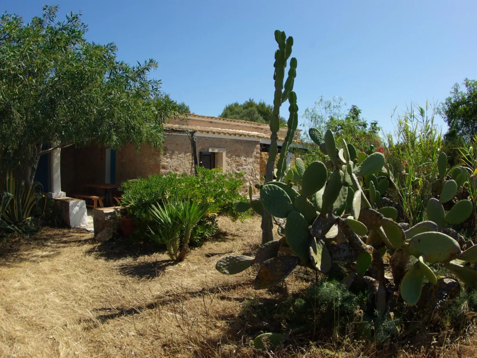 San Ferran - Image-tags.info