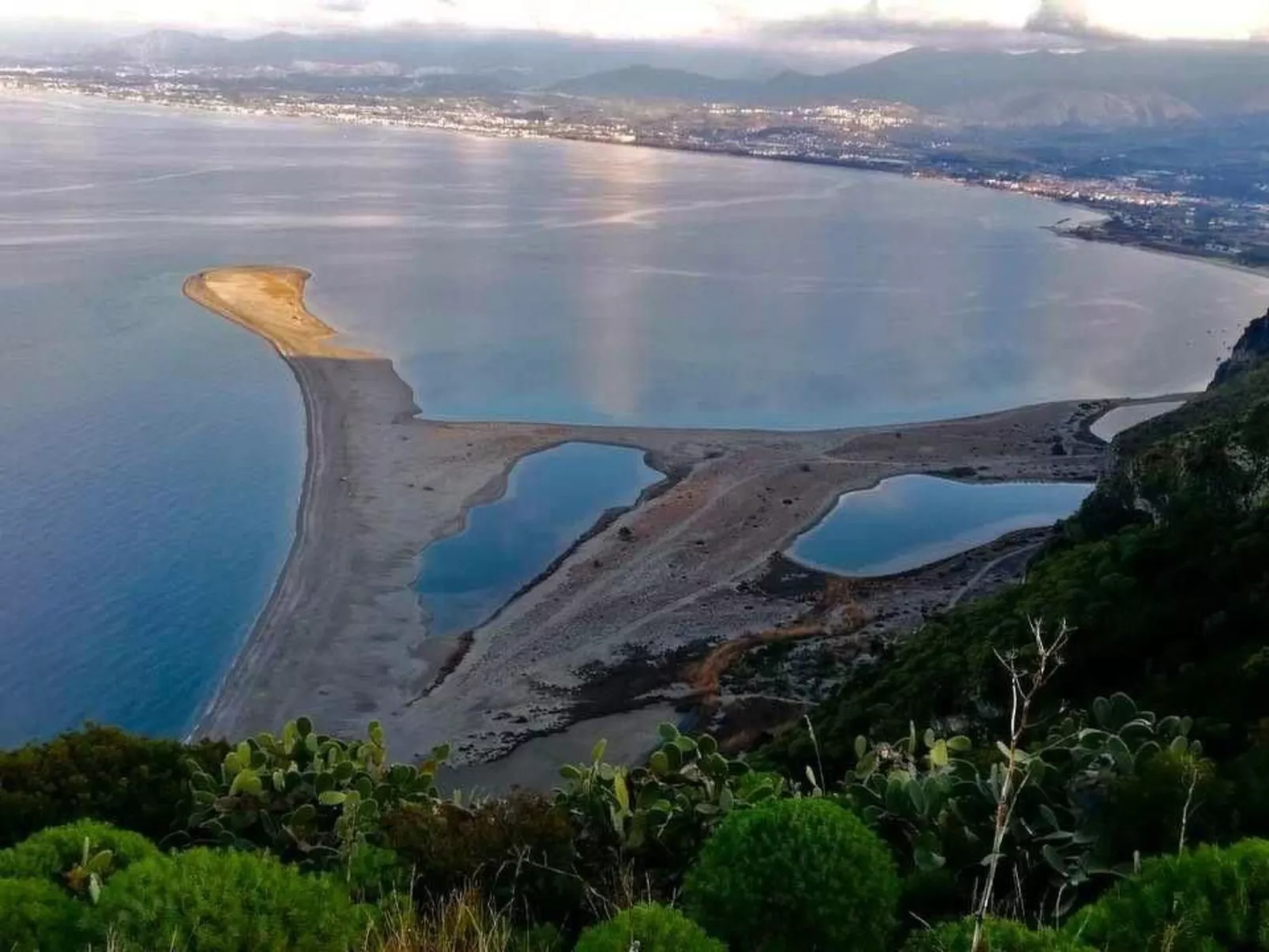 Seestern-Image-tags.info