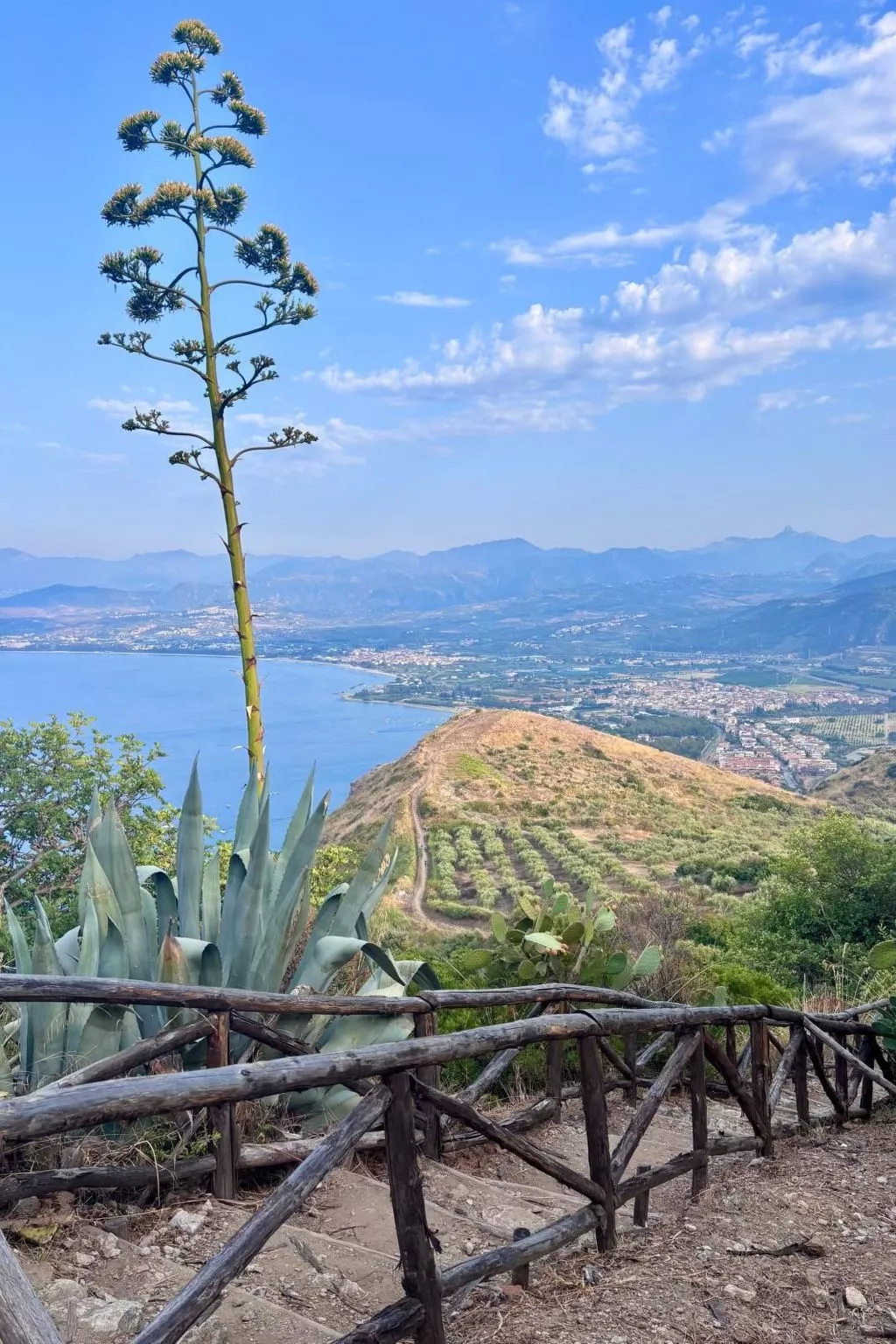 'The Garden-Image-tags.info