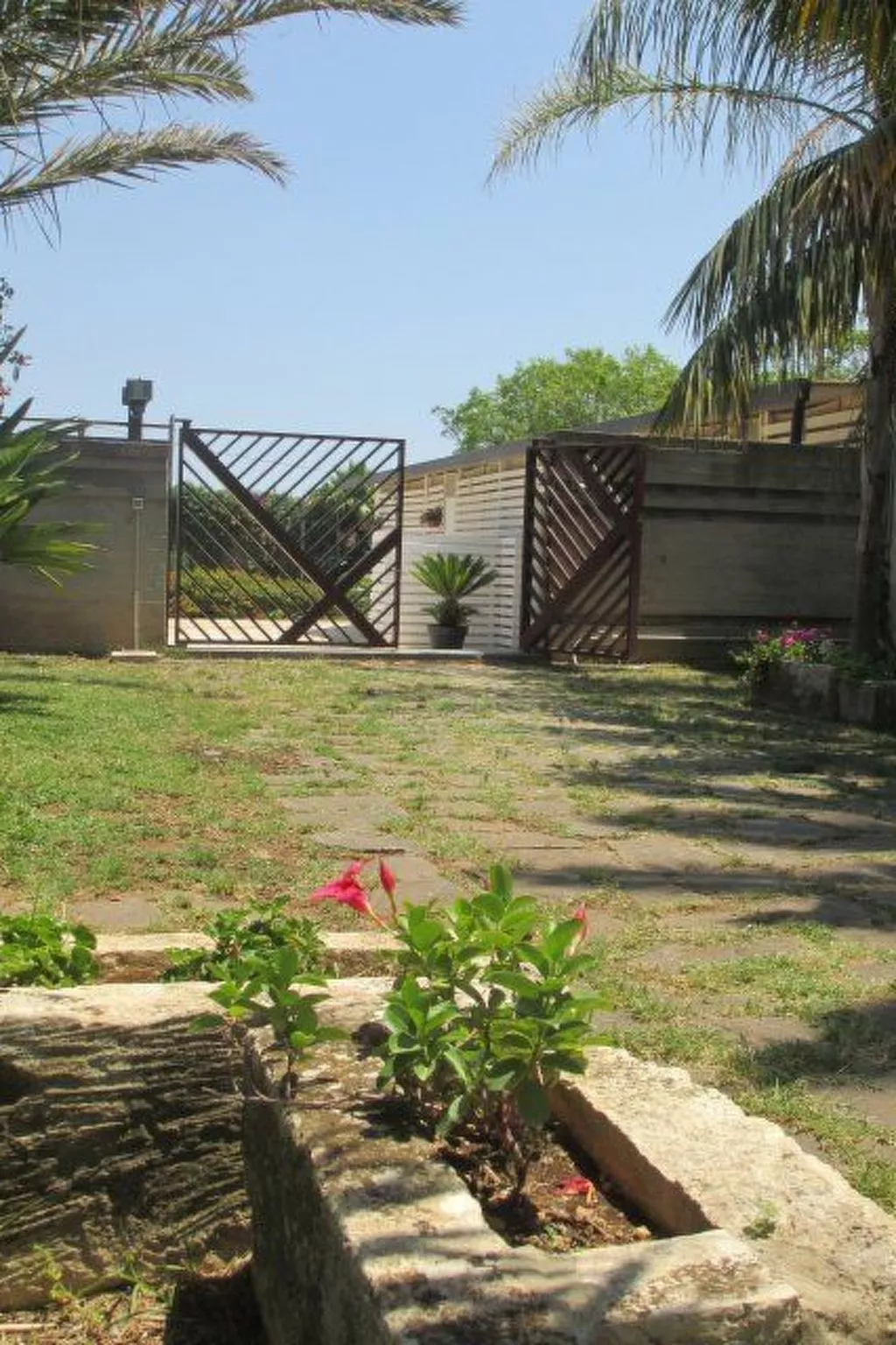 Cuore di Palme Bilo-Buiten