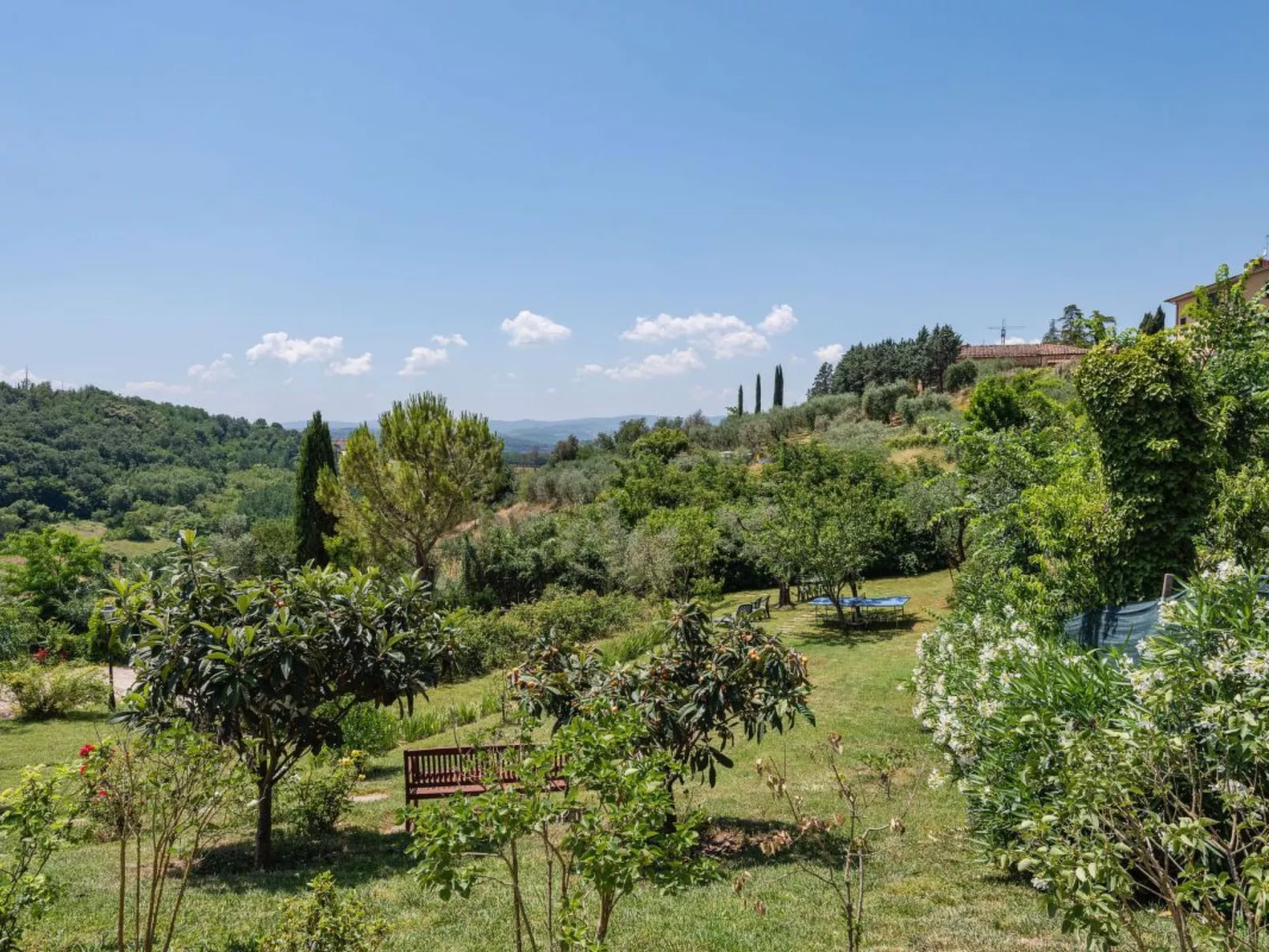 Flachschnäpper-Image-tags.info