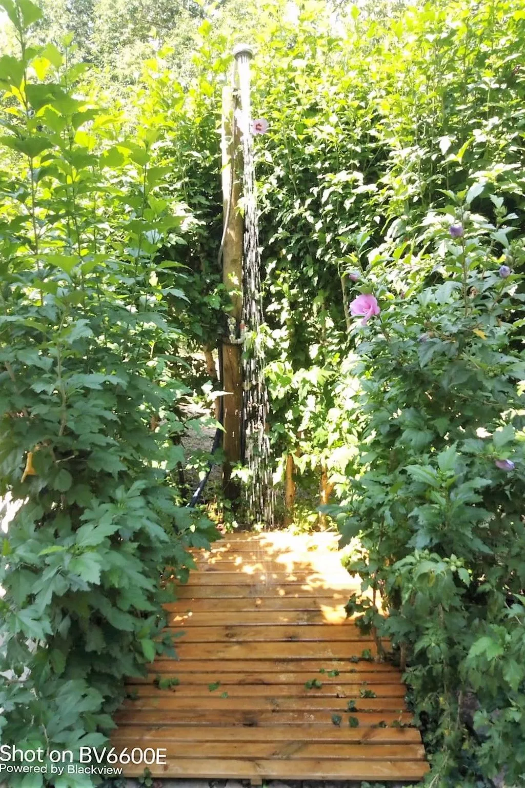 CasaMasa' Wohnung mit Bergblick-Buiten