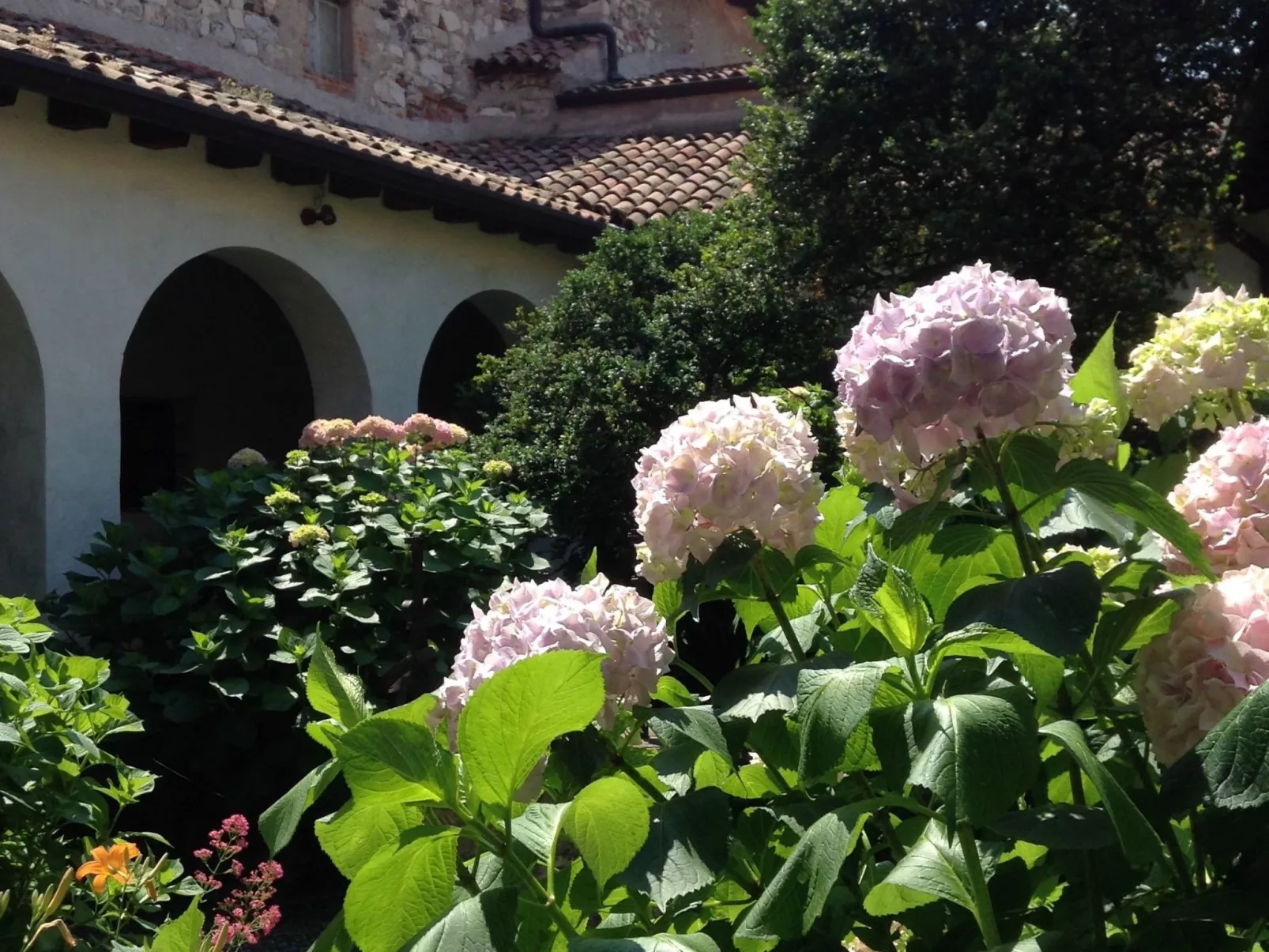 La Mimosa Franciacorta Lago d'iseo-Image-tags.info