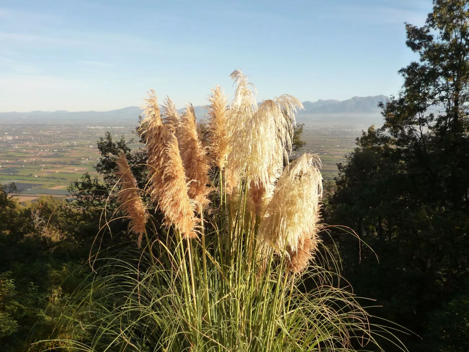 Casa Bella Vista-Image-tags.info