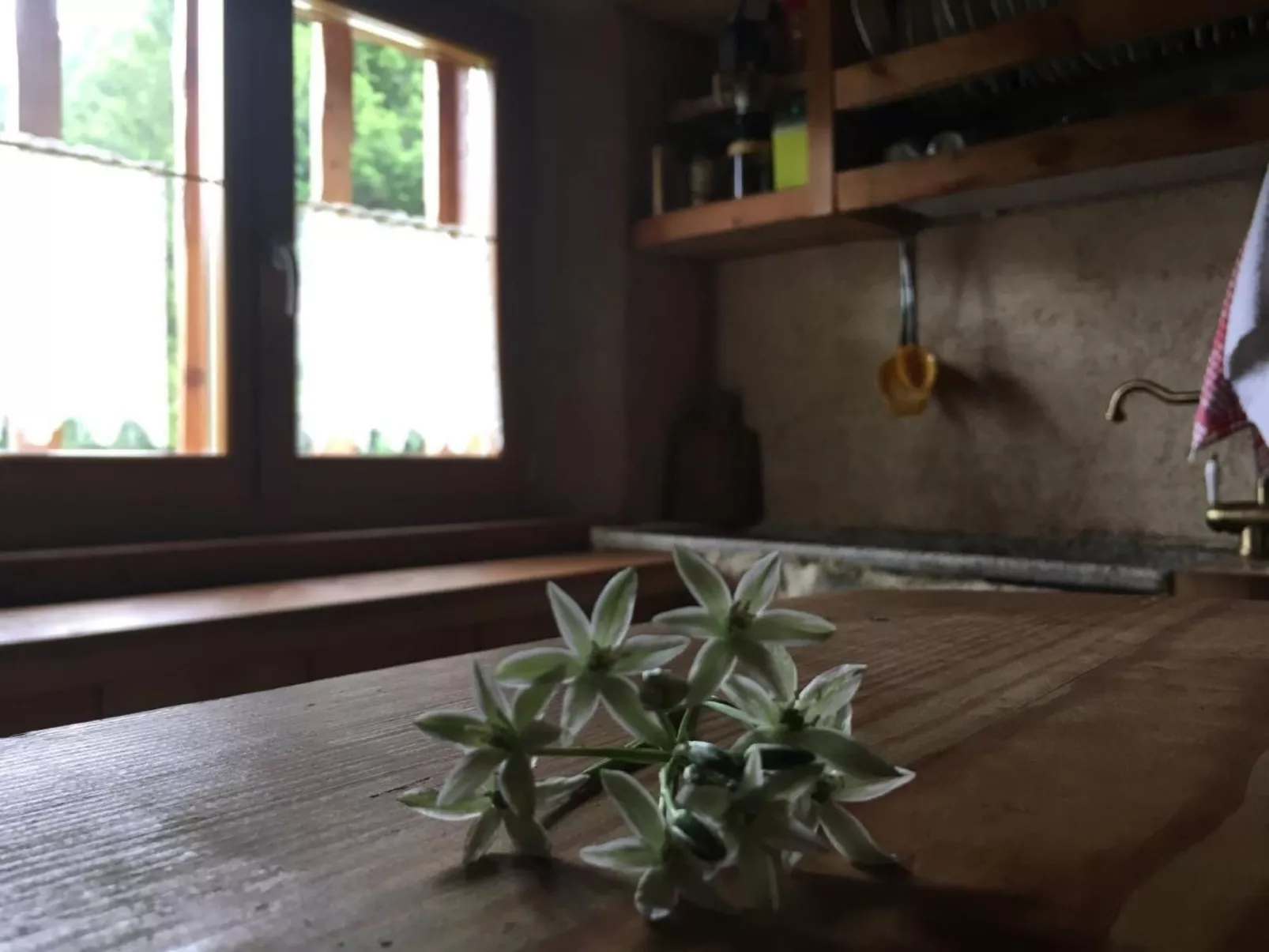 Mit Sauna in Pieve Di Bono-Binnen