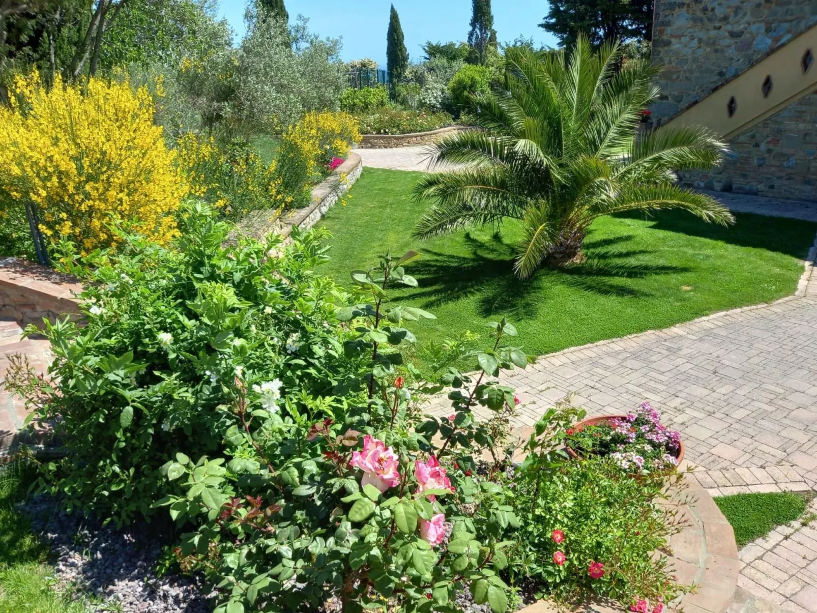 'Riparossa' mit Pool-Image-tags.info