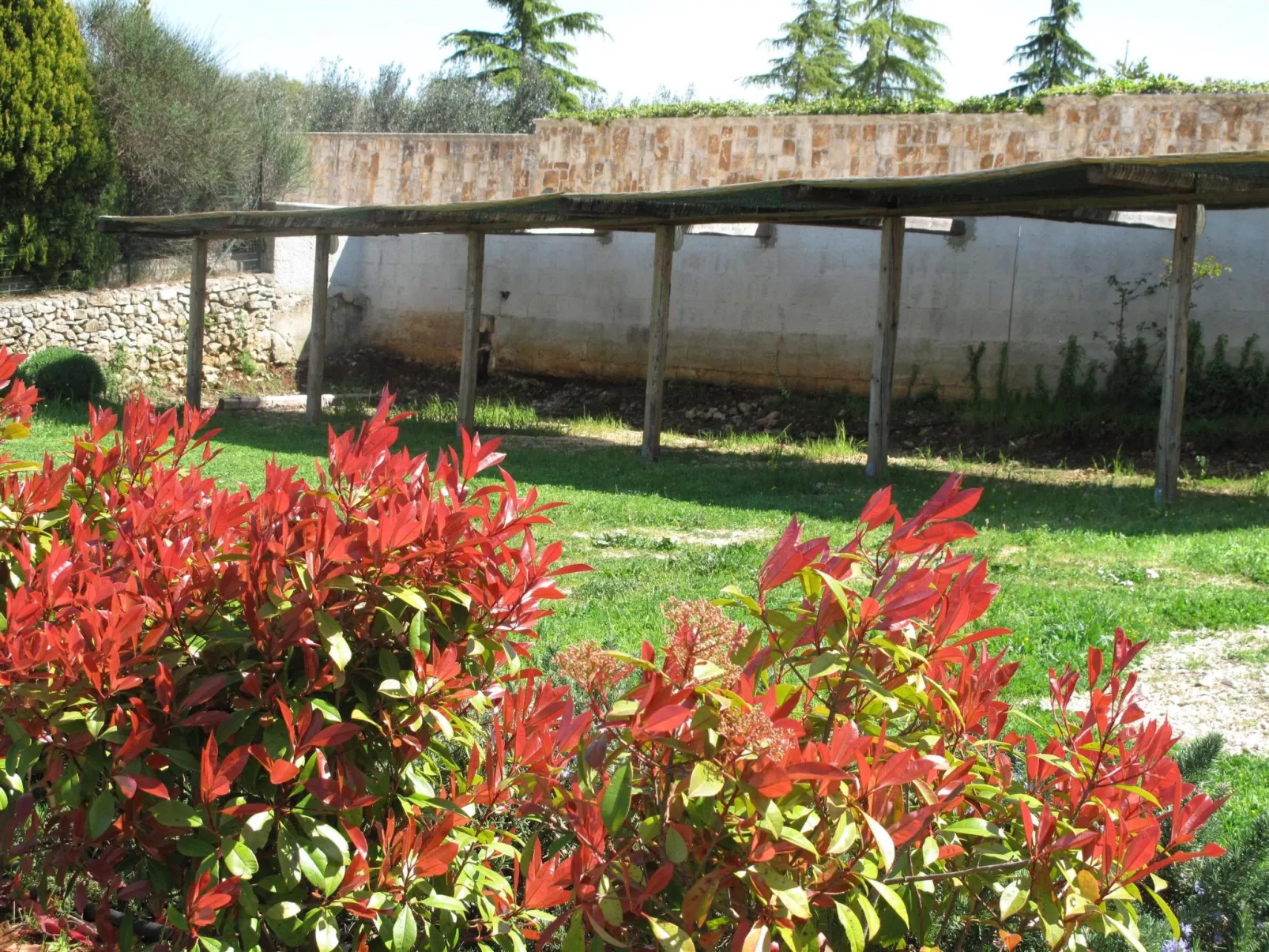 Neue fantastische Casa degli Ulivi privaten Pool-Buiten