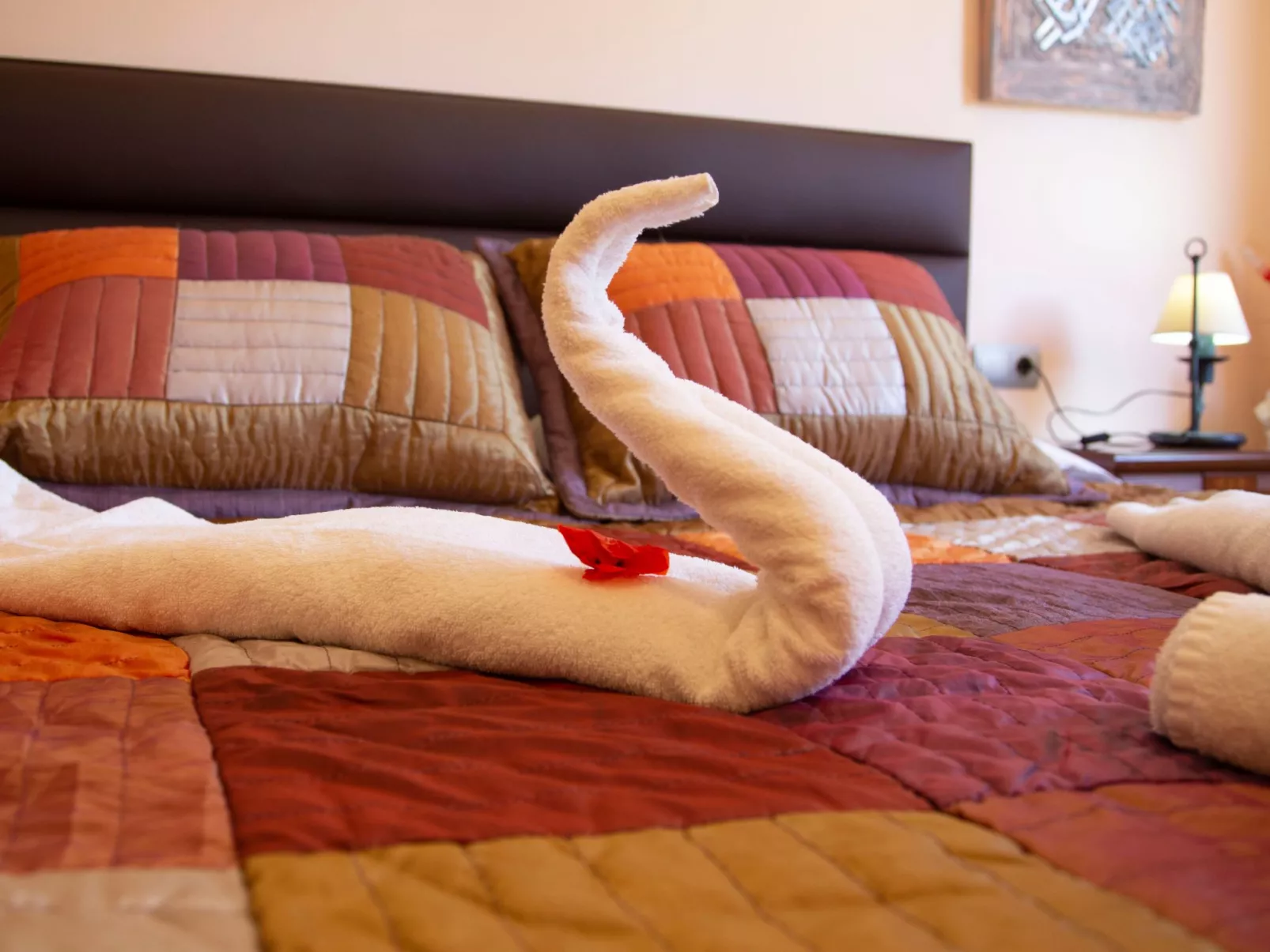 Finca Oliveres-Image-tags.info