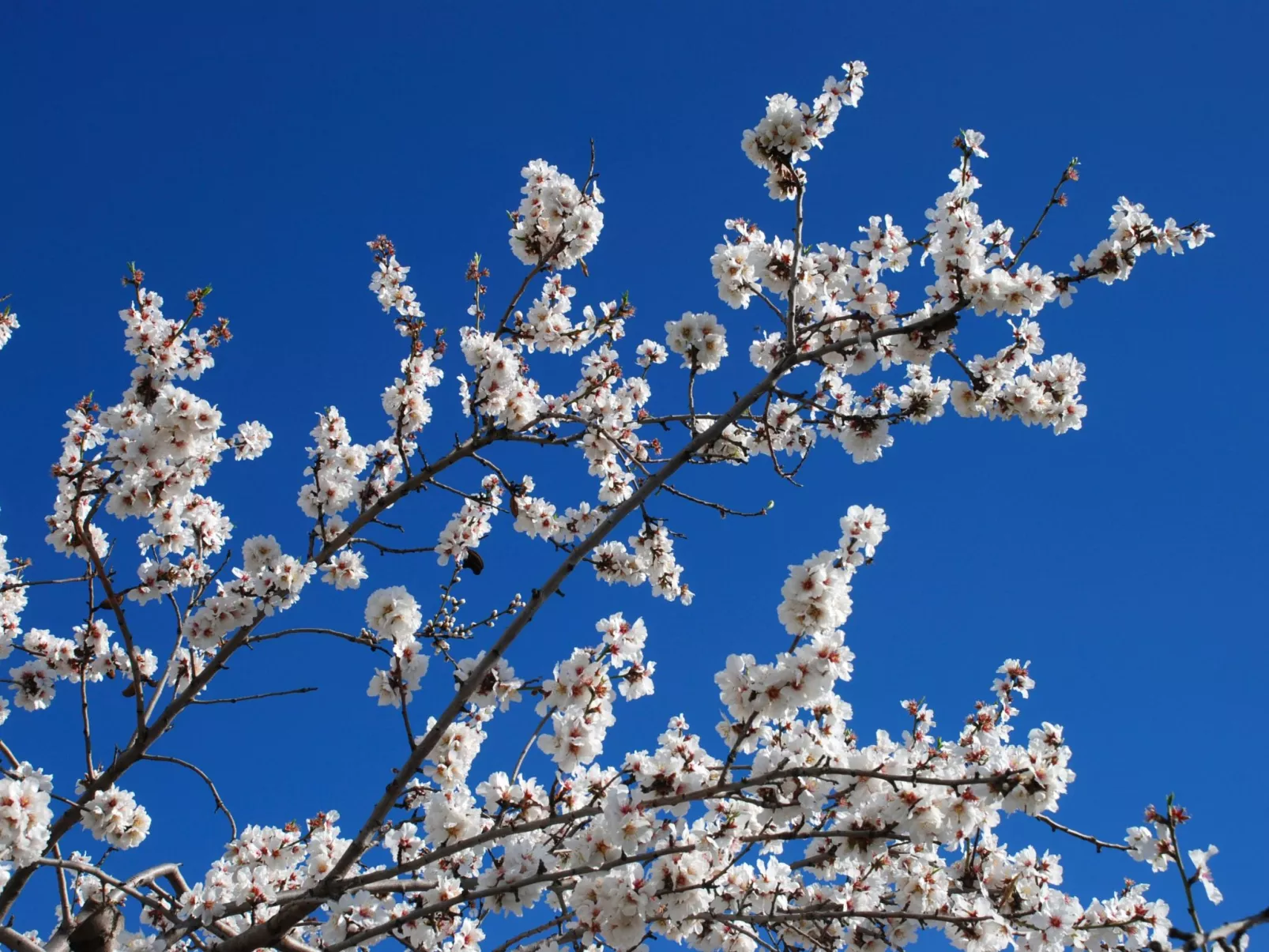 Schönes Landhaus mit Pool, Klimaanlage, Privatsphäre.-Buiten