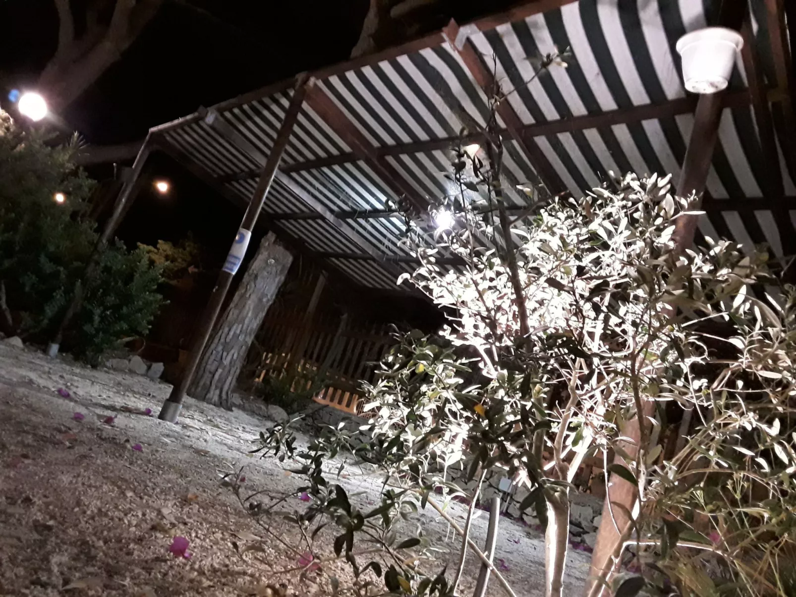 'Villa sul porto-Image-tags.info