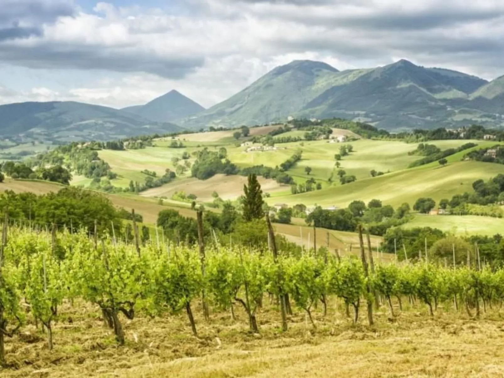 Ca Piero-Image-tags.info