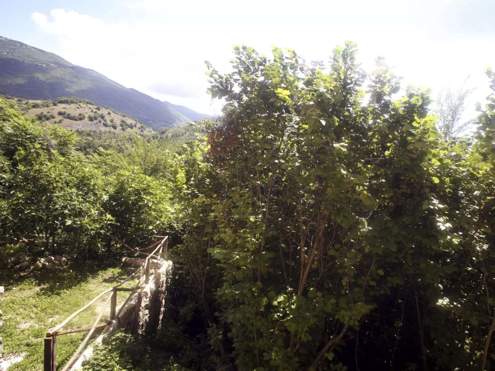 Wohnung 'I Cardi' mit Privatparkplatz-Image-tags.info