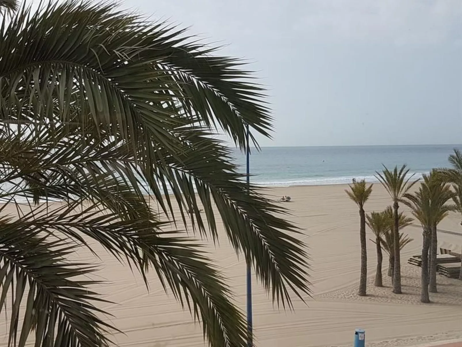 Esmeralda-Image-tags.info