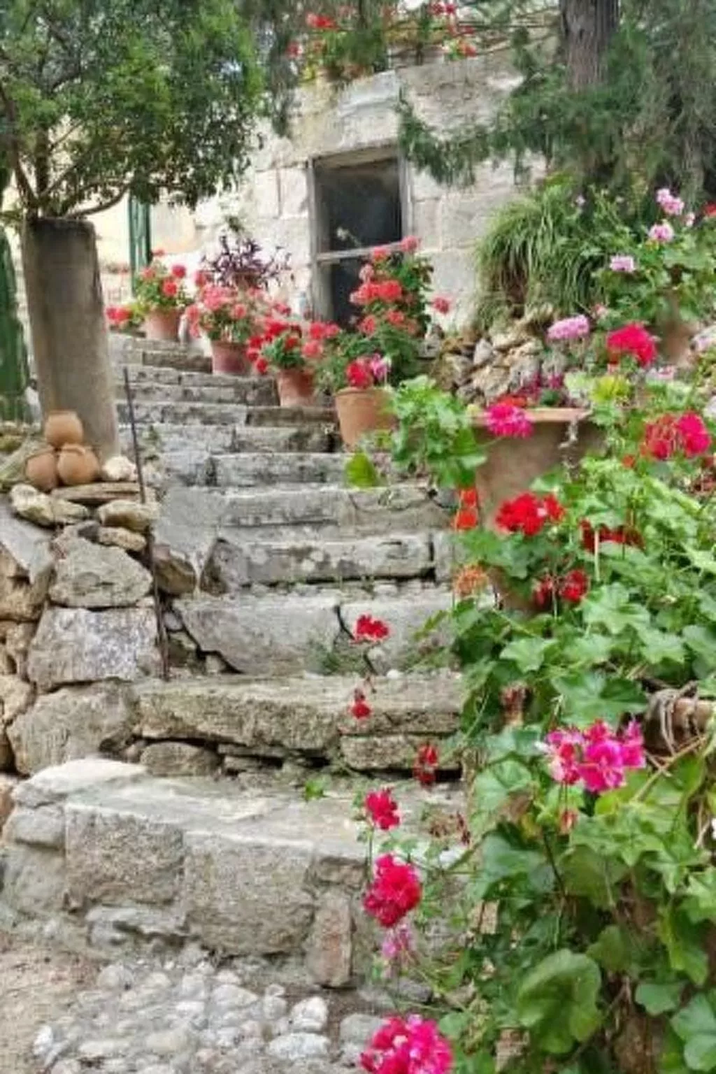 Finca "Mallorca Muro" mit Garten und Grill-Image-tags.info