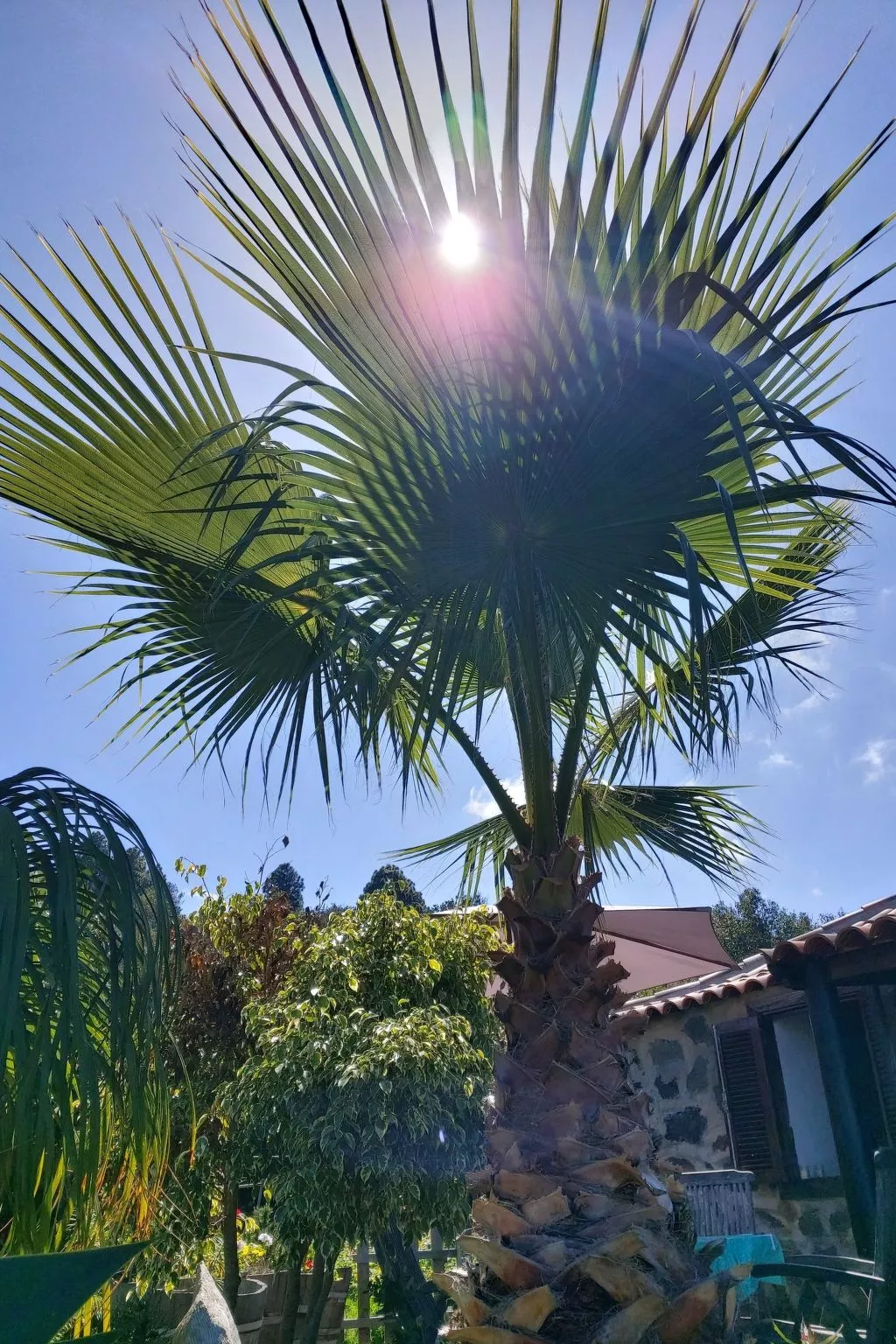 FW Cueva del Viento-Buiten