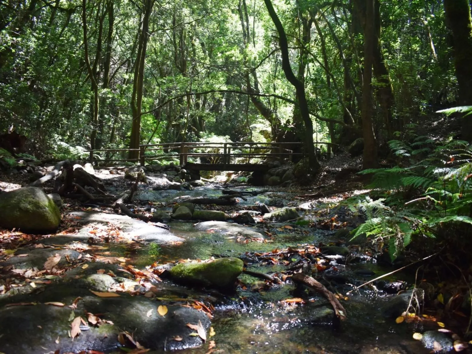 Freistehendes Ferienhaus La Maleza in La Palmita-Buiten