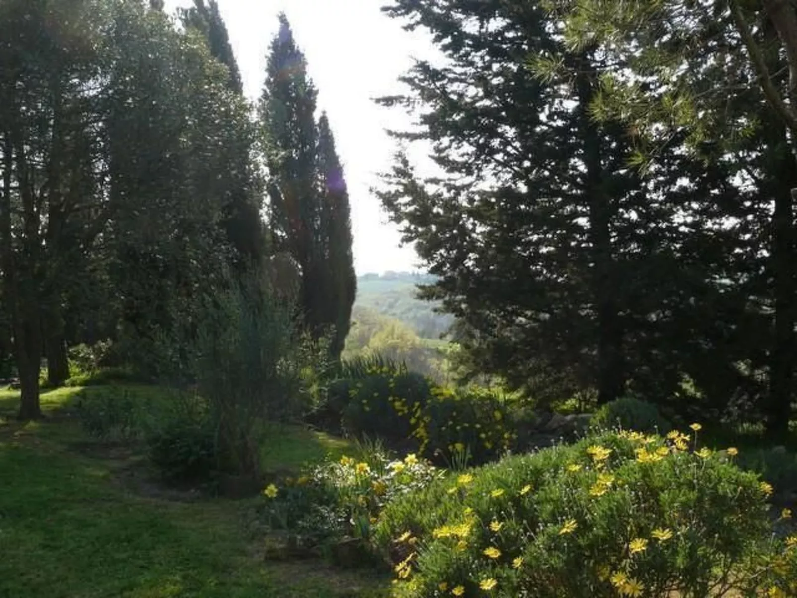 La Terrazza-Image-tags.info