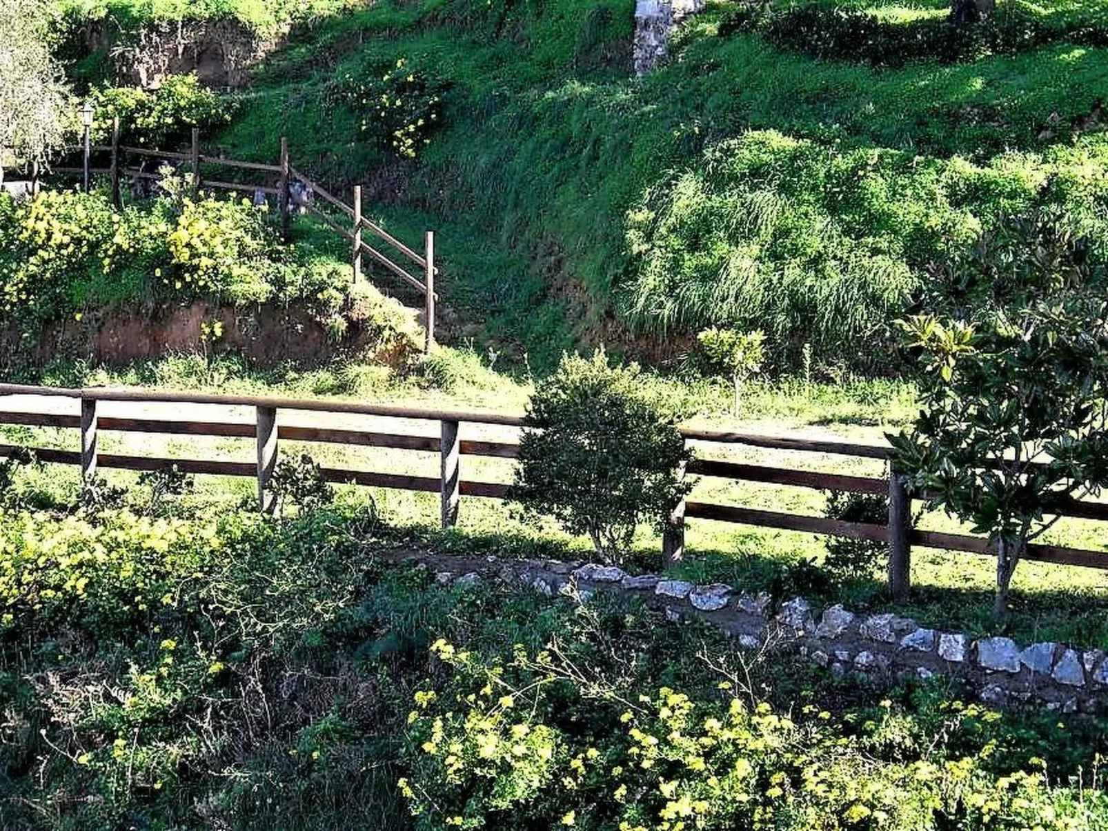 Mandelbaum-Wohnung-Image-tags.info