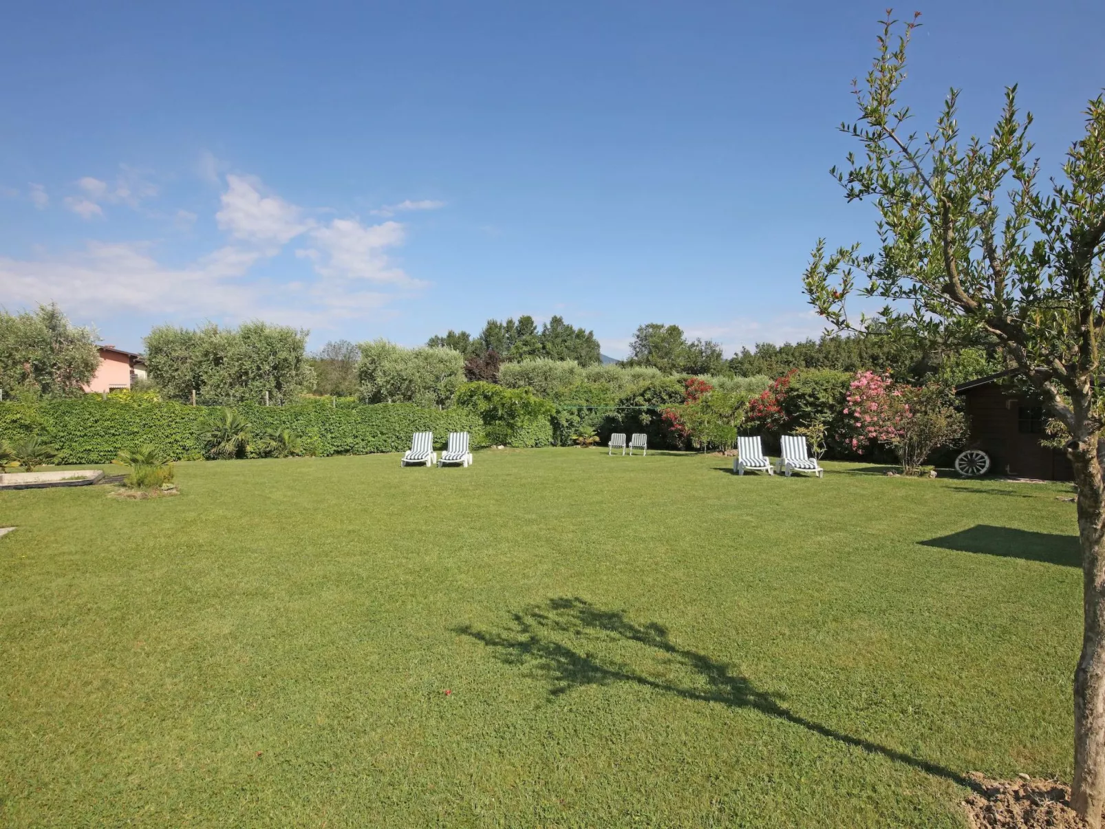 Peony' Wohnung mit Schwimmbad-Buiten