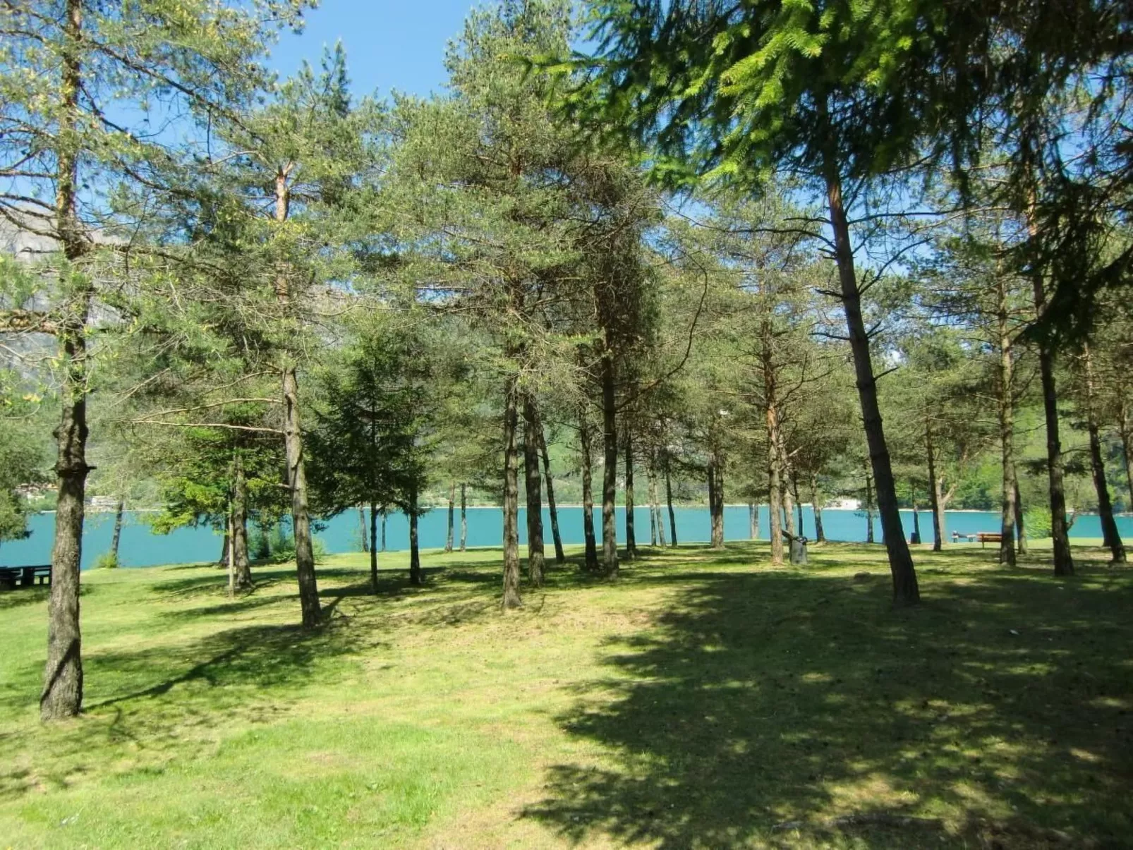 Sehr geräumige Wohnung inmitten der Natur-Image-tags.info