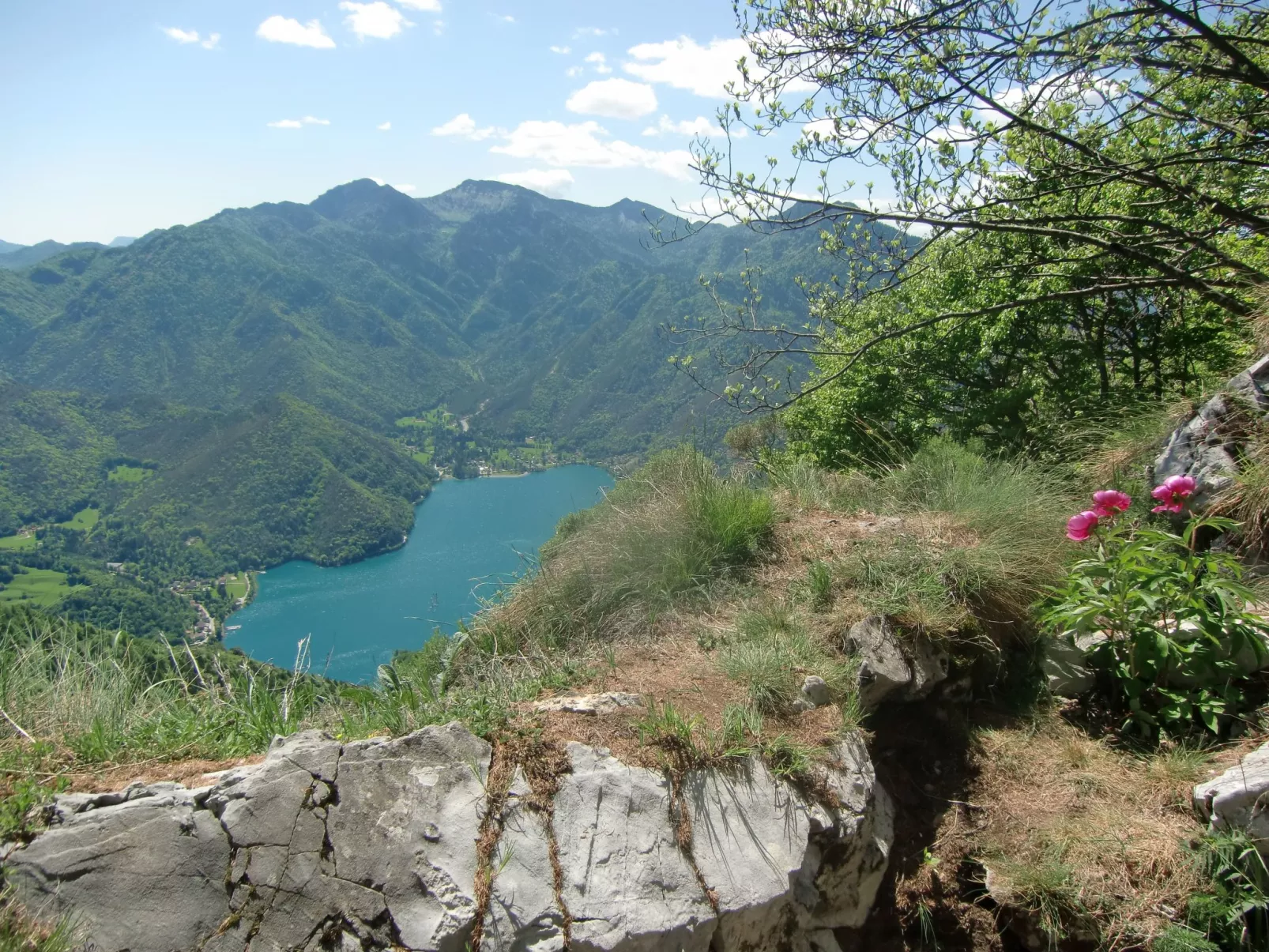 2-stöckige Wohnung mit privatem Gartenbereich-Buiten