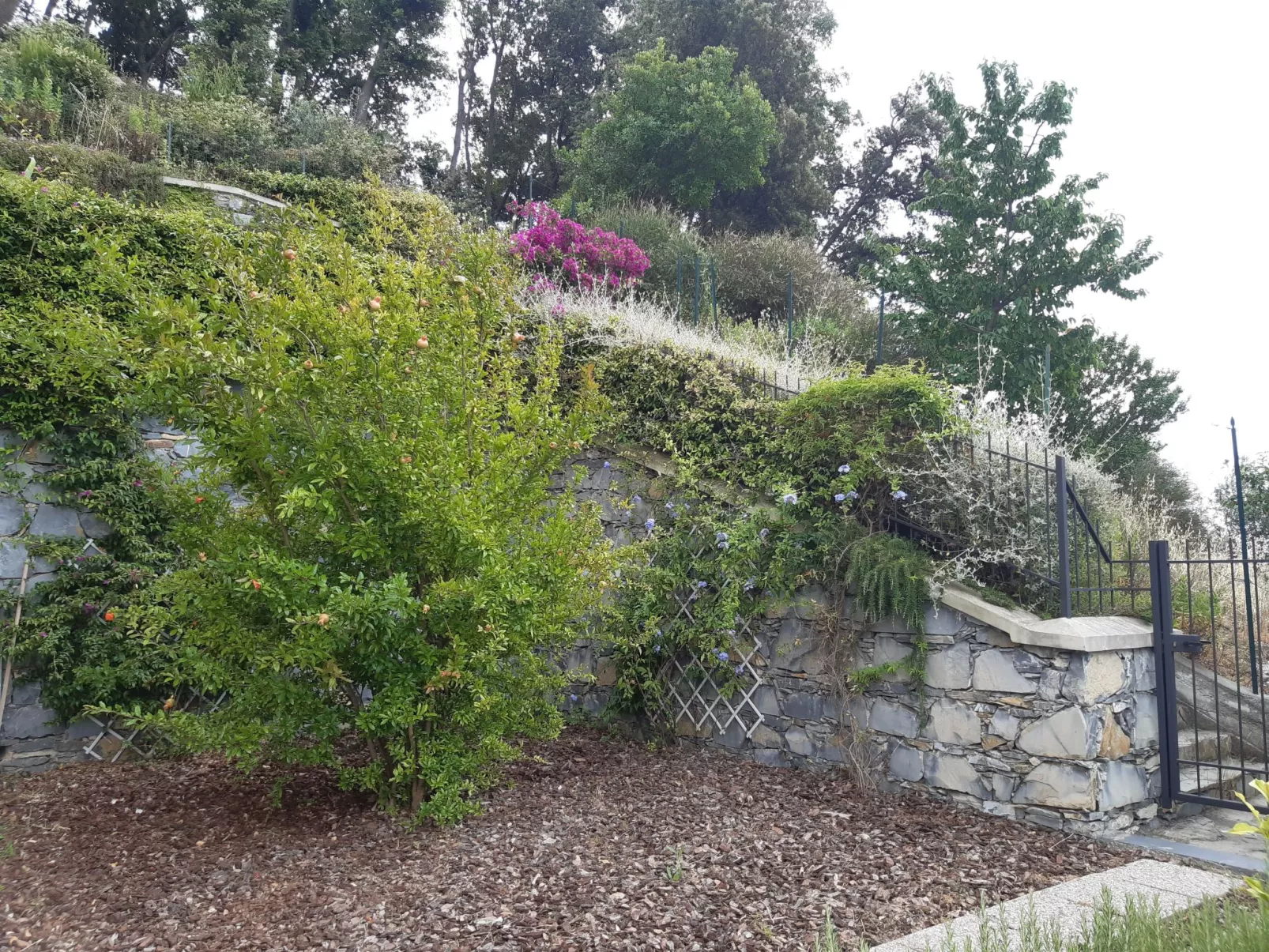 Für 4 Personen ca. 50 m&sup2; in Sestri Levante, Norditalien (Ligurien)-Buiten