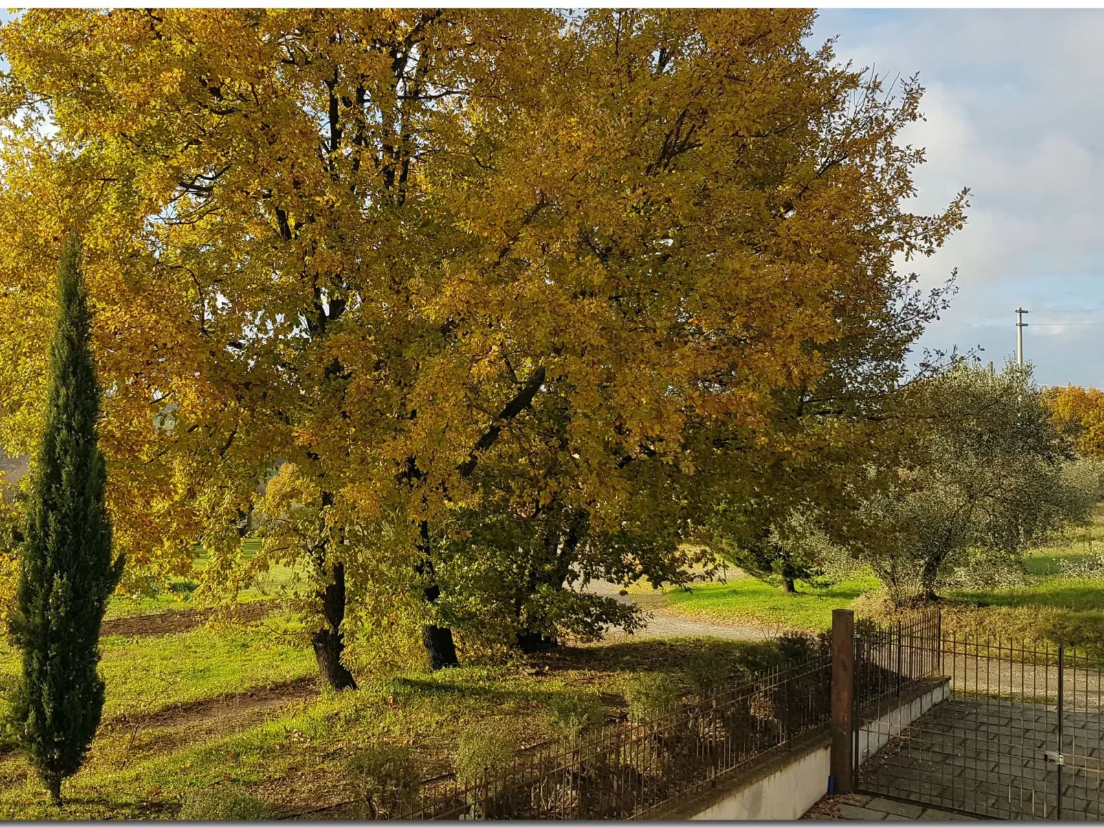Villino Cortona - Ihre Entspannung im Herzen der Toskana.-Buiten