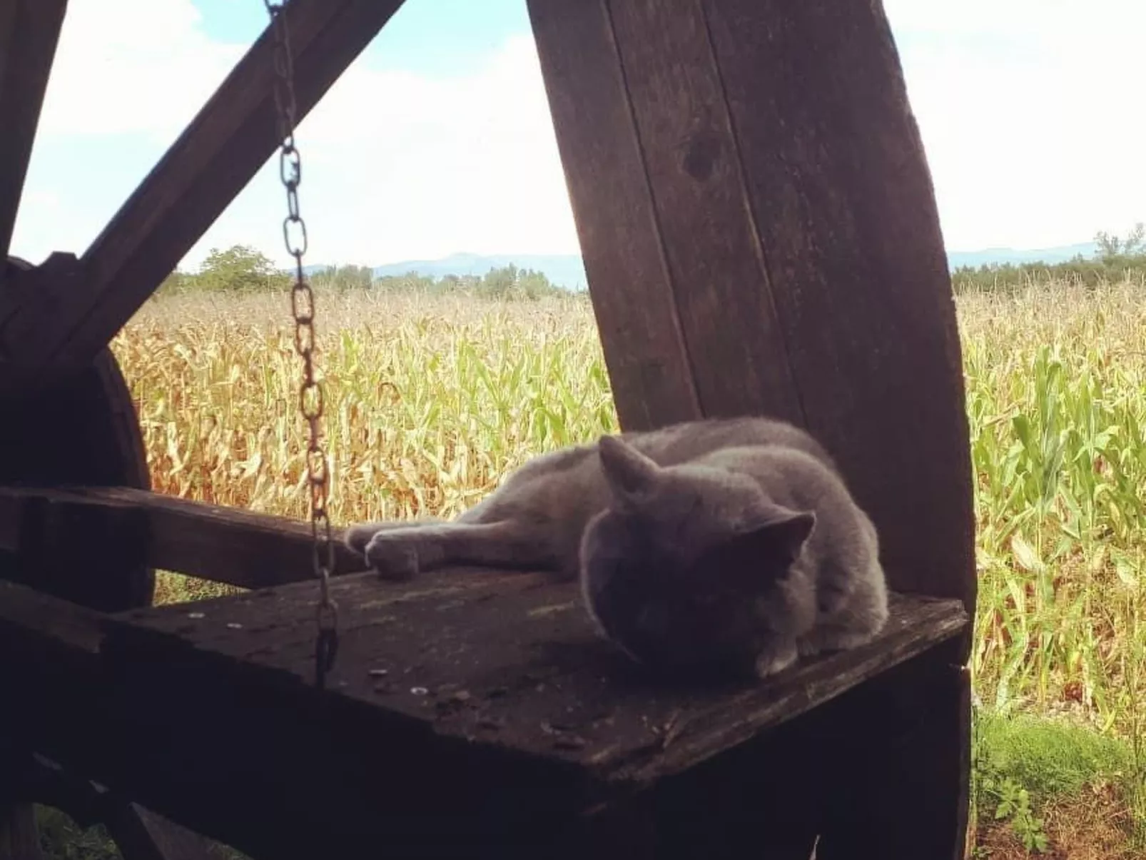 Landgut "Il Molino" mit Terrasse und Garten-Buiten