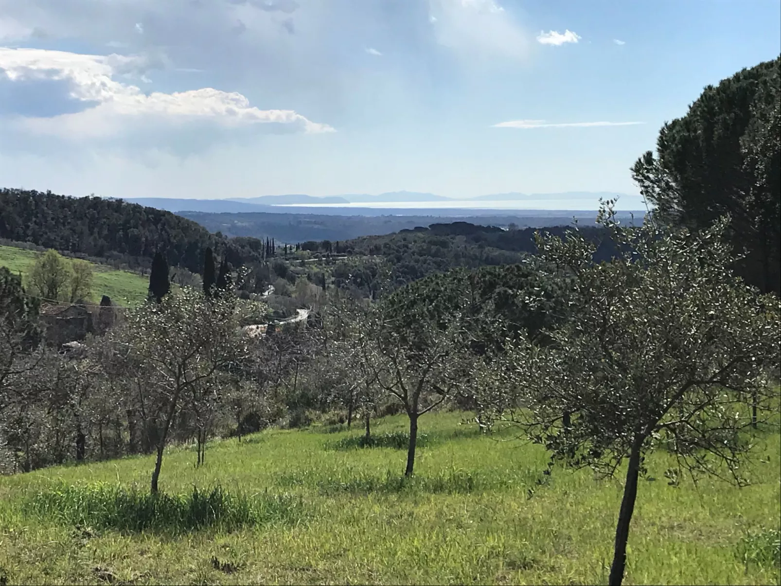 Podere Lo Zolfo-Buiten