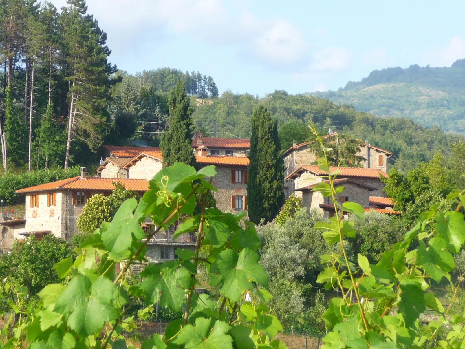 Lindenhaussiedlung mit Gemeinschaftspool-Image-tags.info