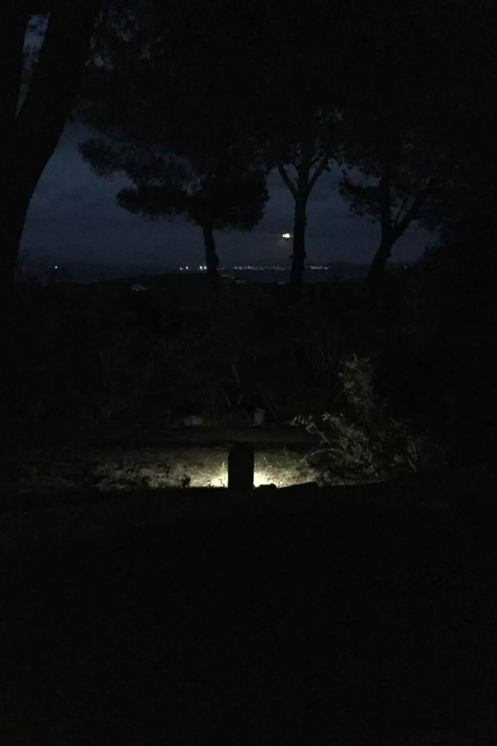 'Luciana' mit Wasserblick-Image-tags.info