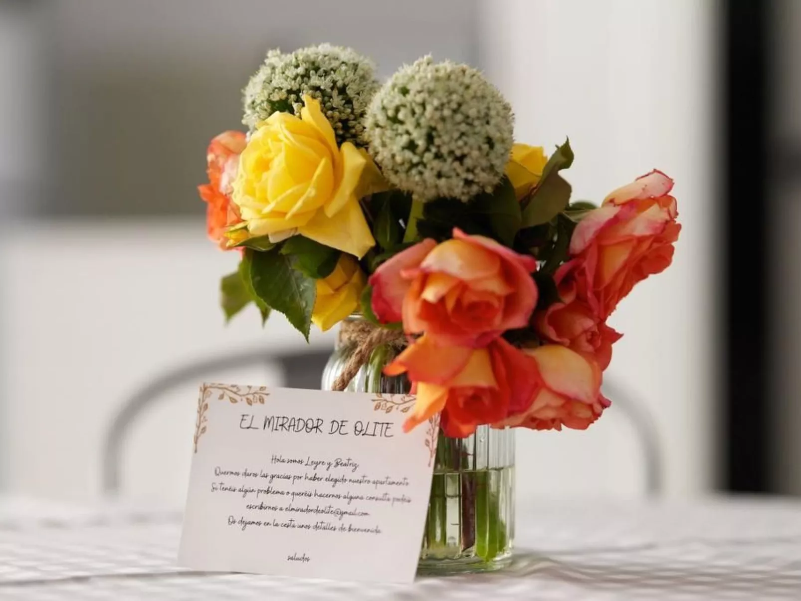 El Mirador de Olite-Binnen