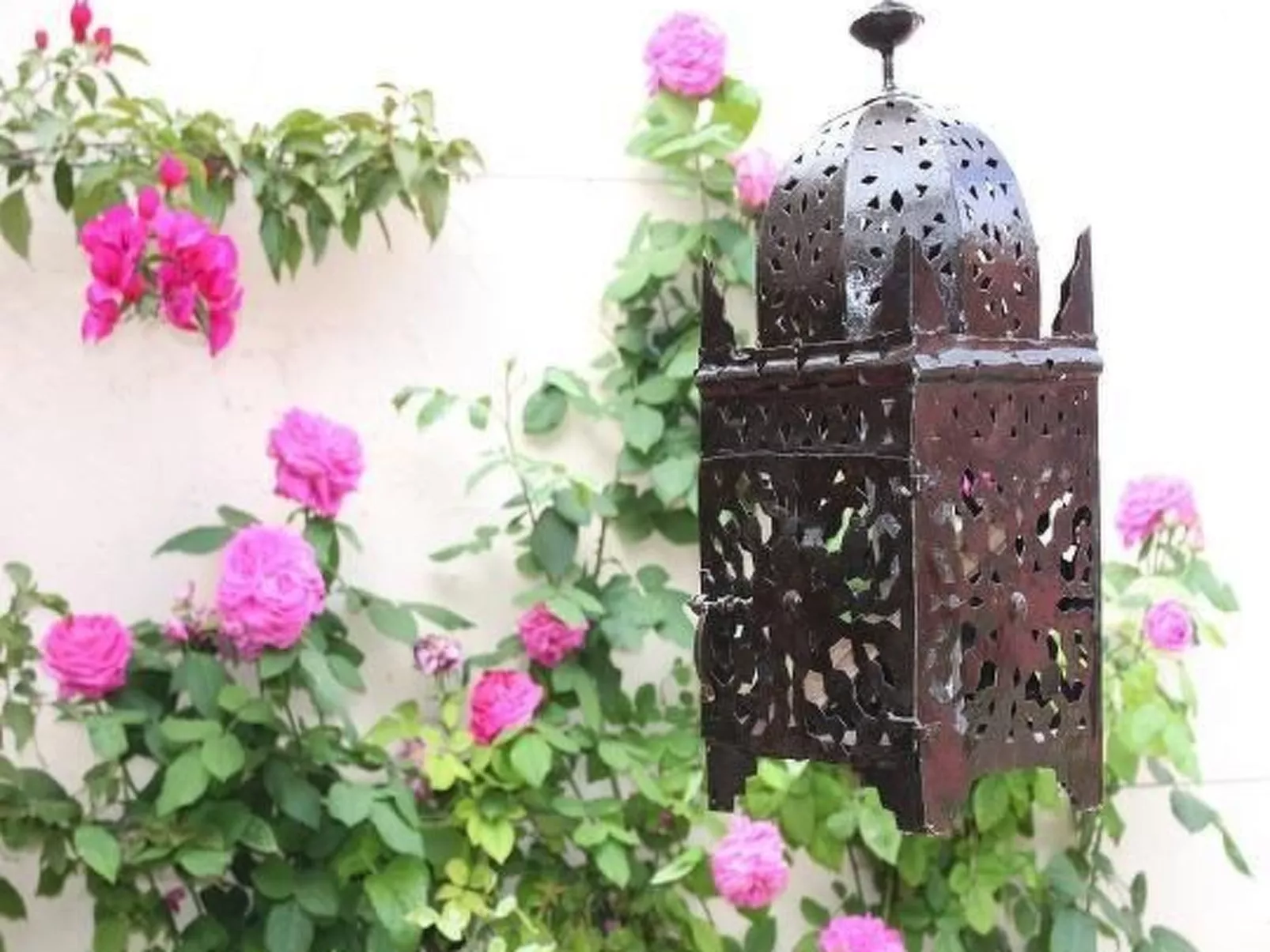 Casa Dolores - Image-tags.info