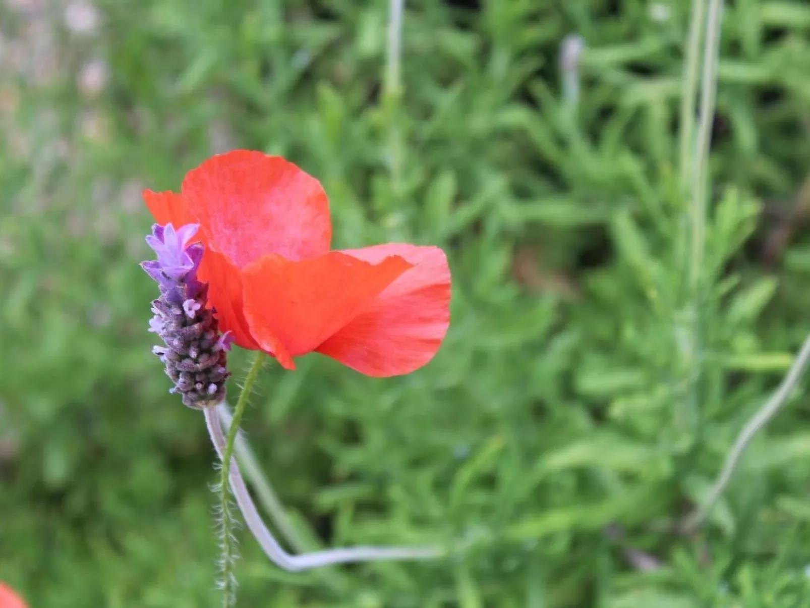 Casa Ines - Image-tags.info