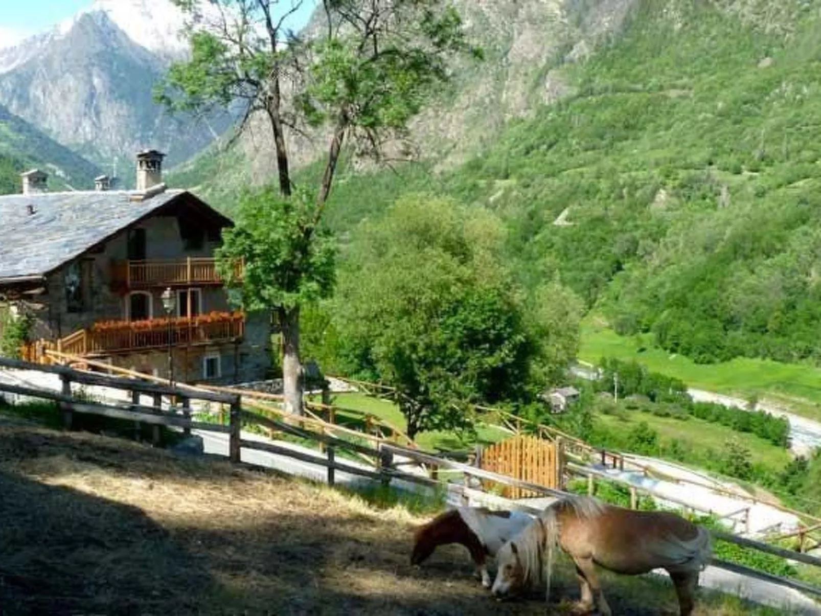 Drei-Zimmer-Wohnung La Mucca in Gignod-Image-tags.info