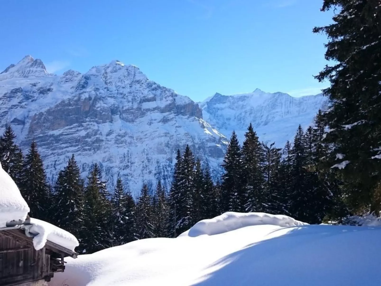 Wohnung West-Image-tags.info