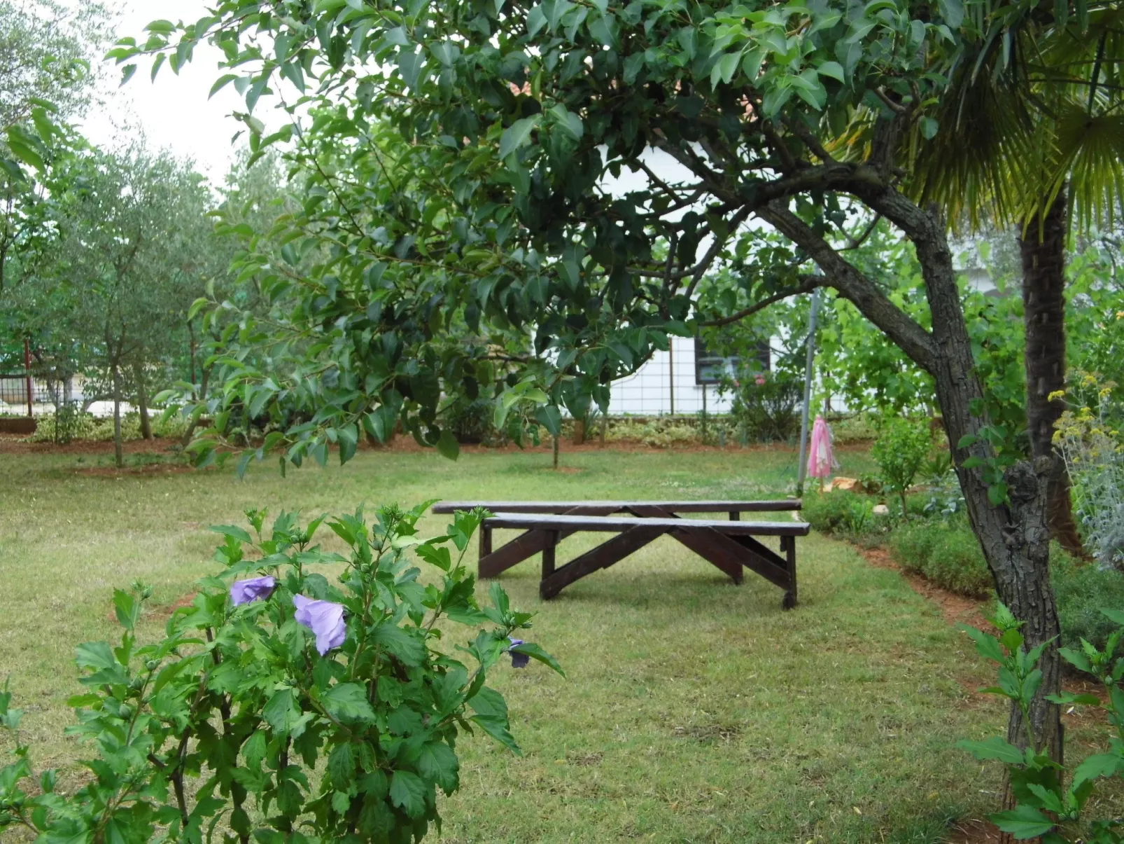 "Einfach, aber schön."-Buiten